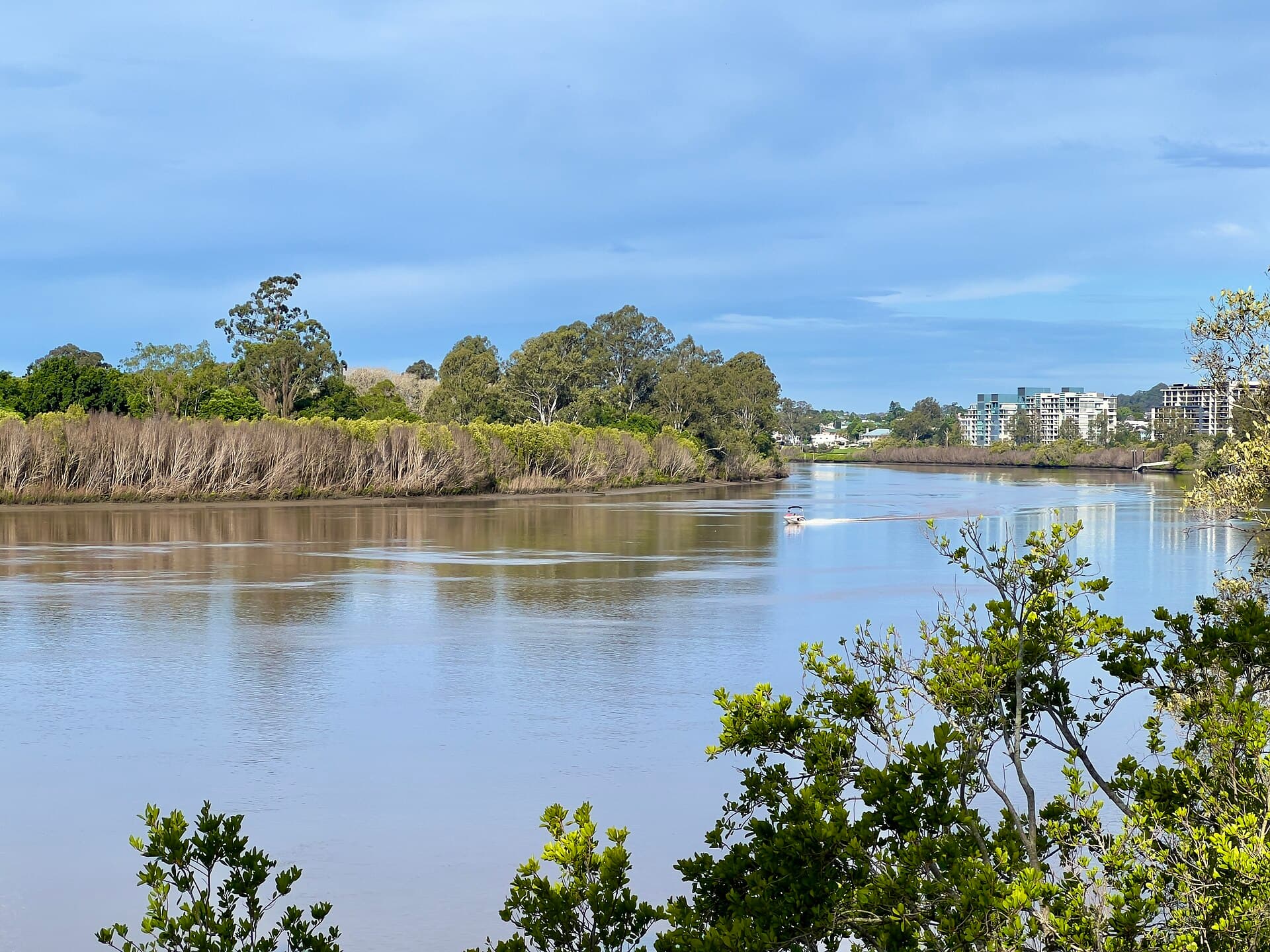 Things to Do in Indooroopilly, Brisbane: The Local Guide