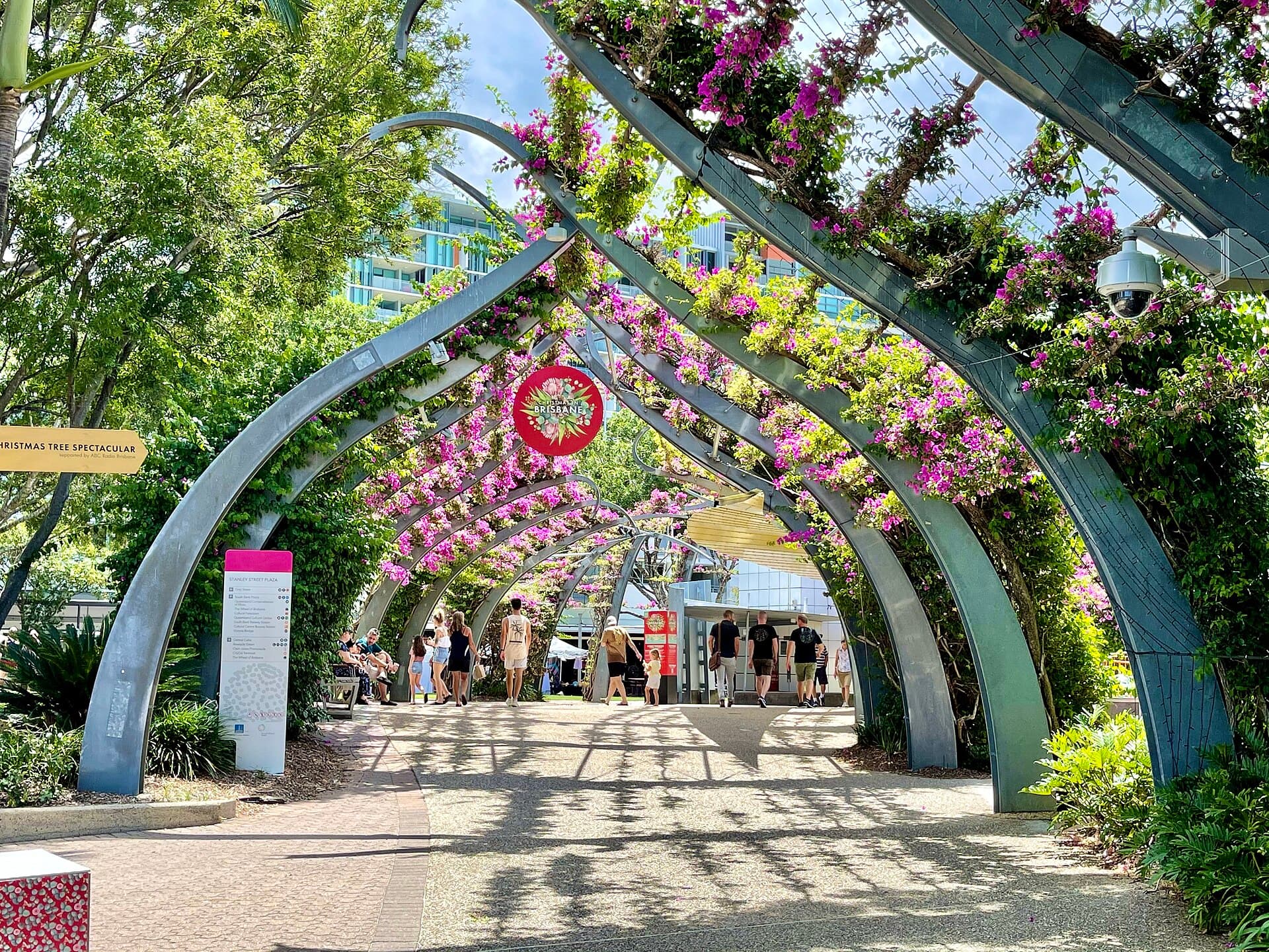 Things to Do in South Bank, Brisbane: The Local Guide