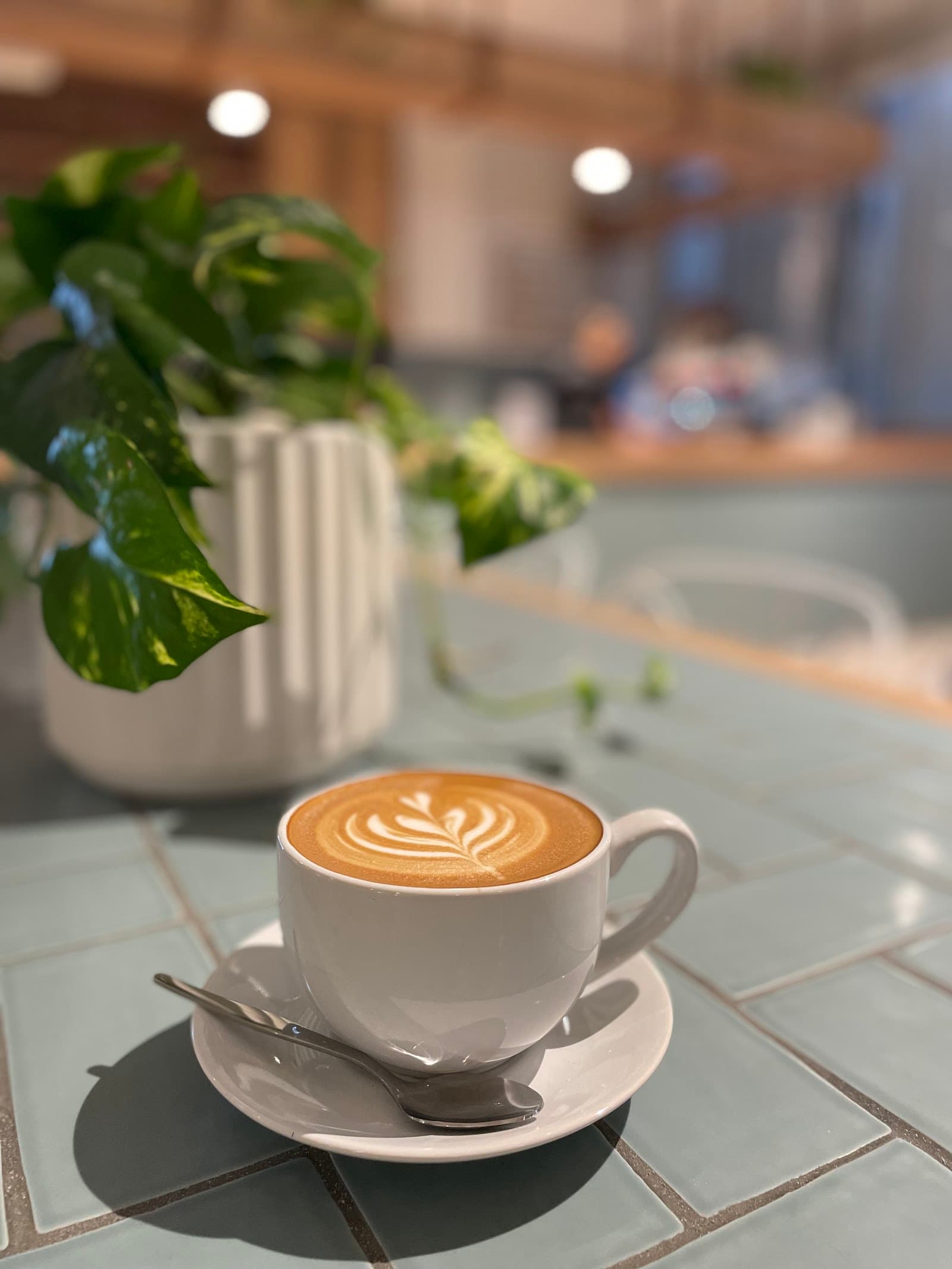 Grey Street Social — South Bank, Brisbane