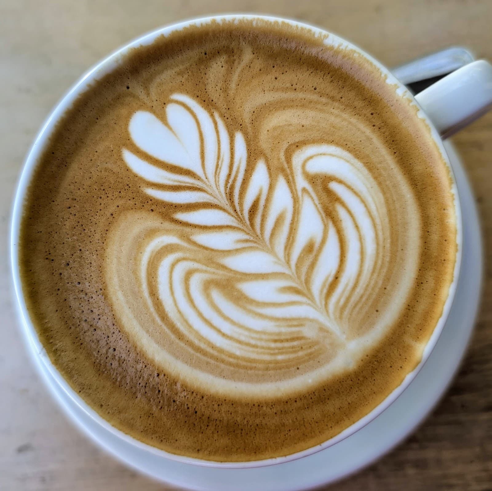 Hey Mr. New Farm — New Farm, Brisbane