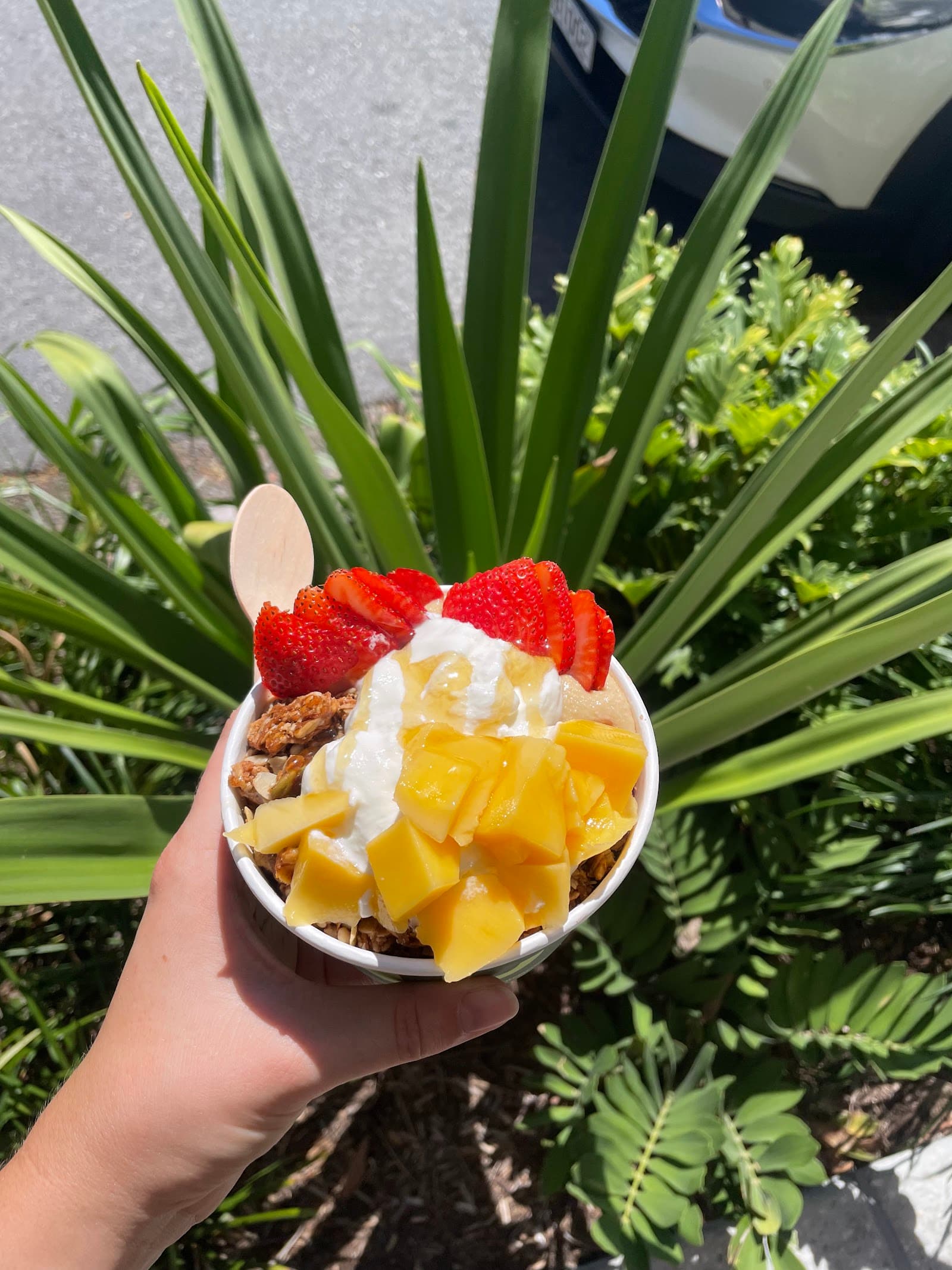 Green Cup — New Farm, Brisbane
