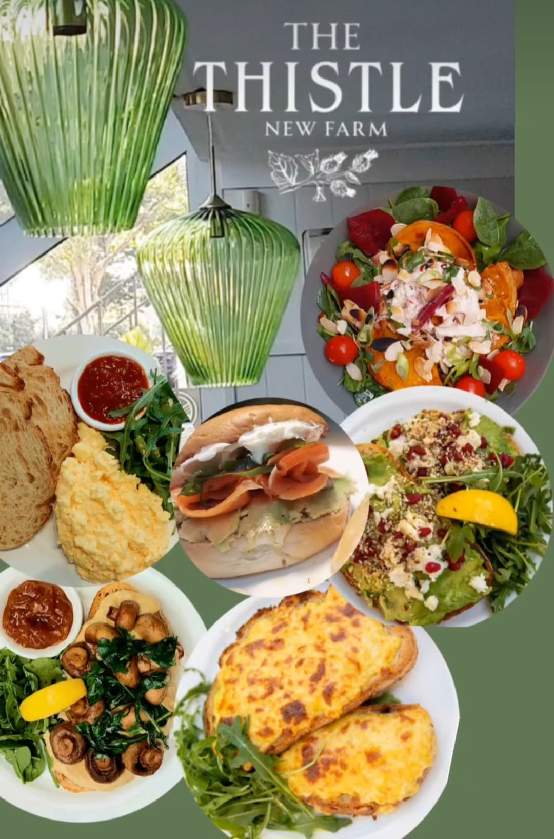 The Thistle New Farm — New Farm, Brisbane