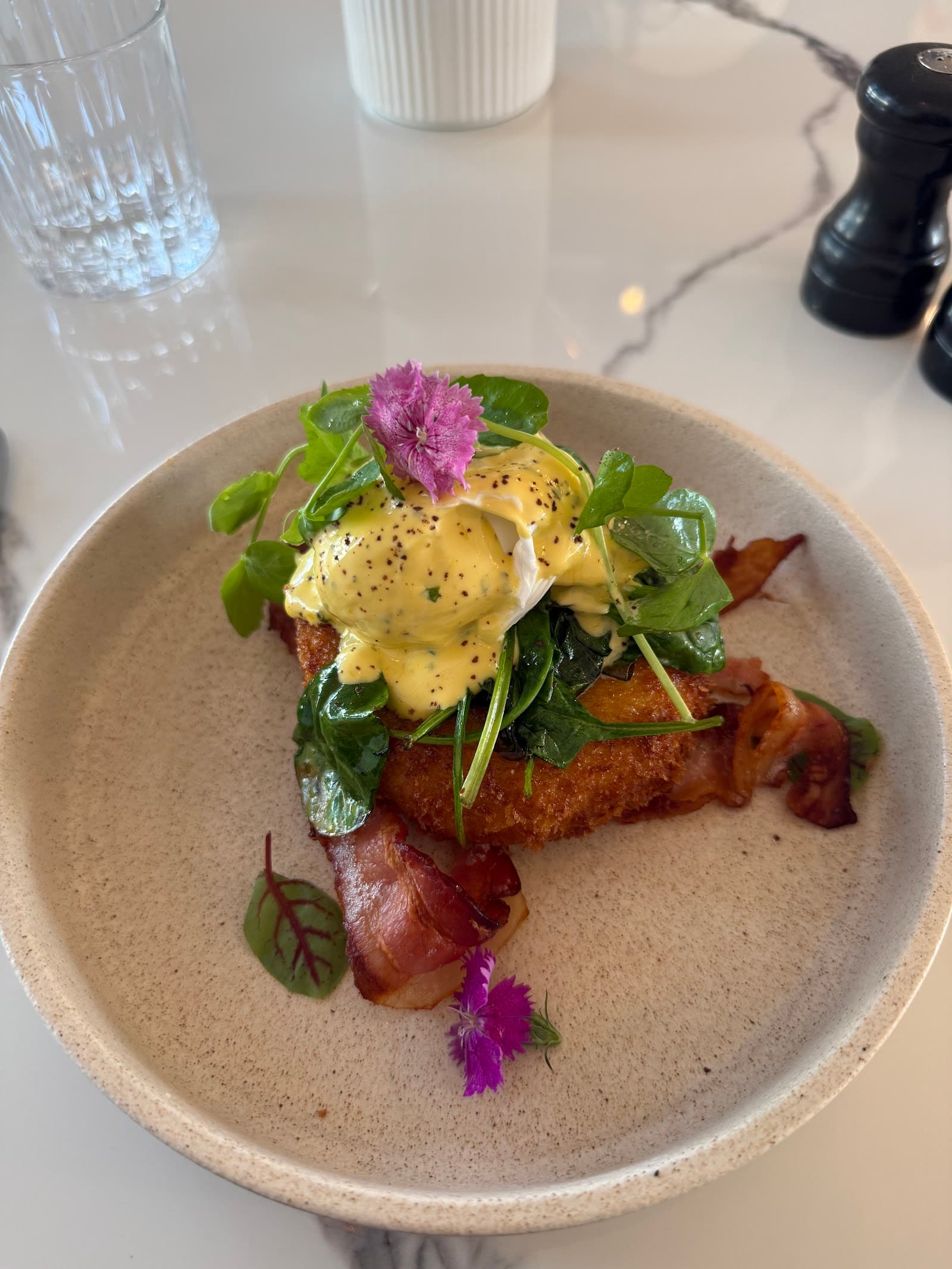 Paddi — Paddington, Brisbane