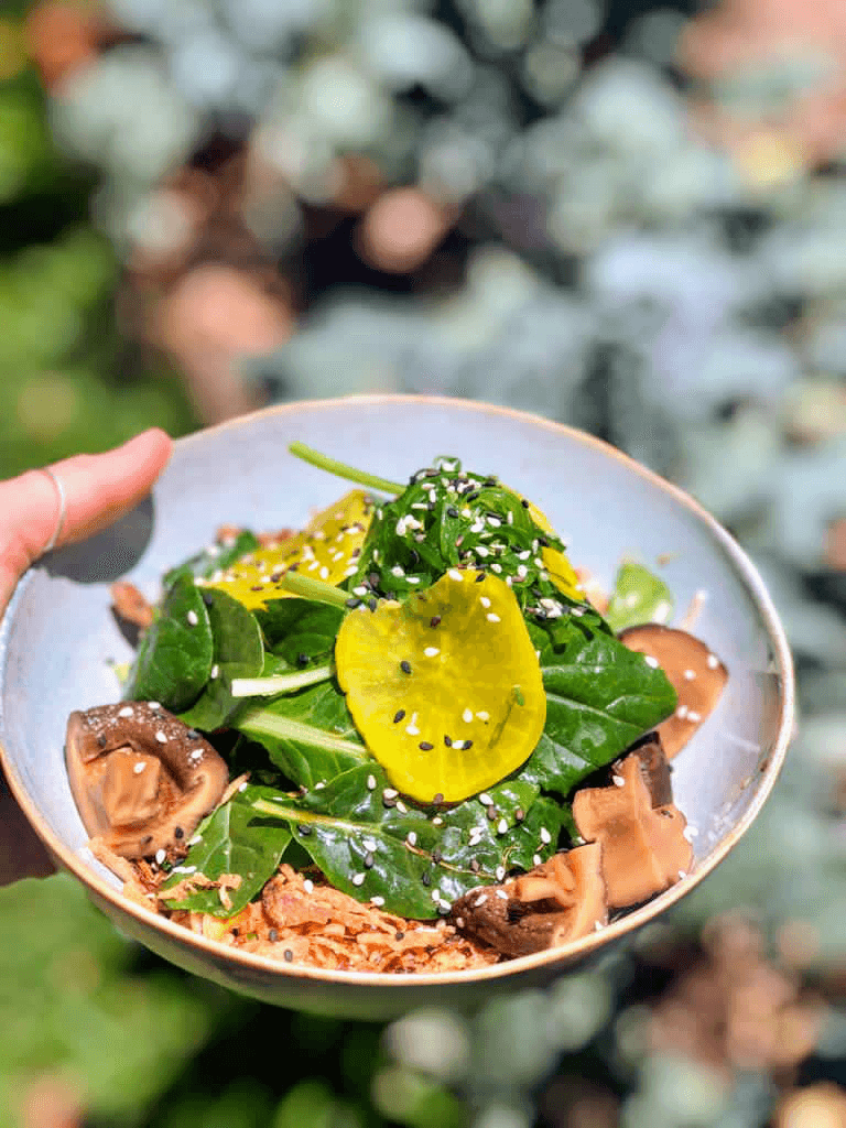 Goodfolk Cafe — Toowong, Brisbane