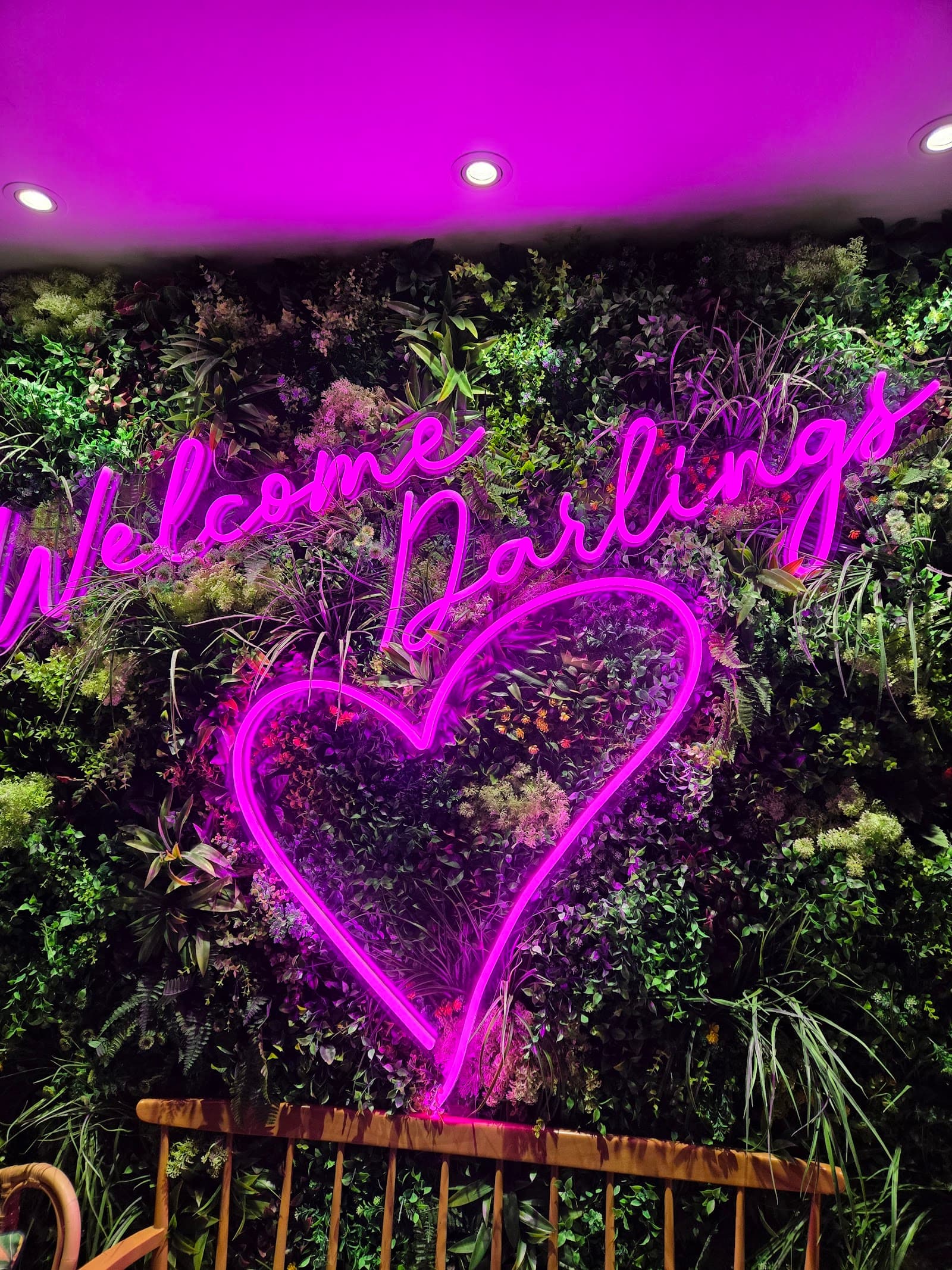 Darling & Co — Paddington, Brisbane