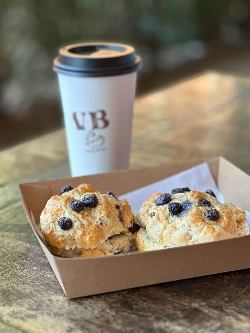 Vinty Bean — Teneriffe, Brisbane