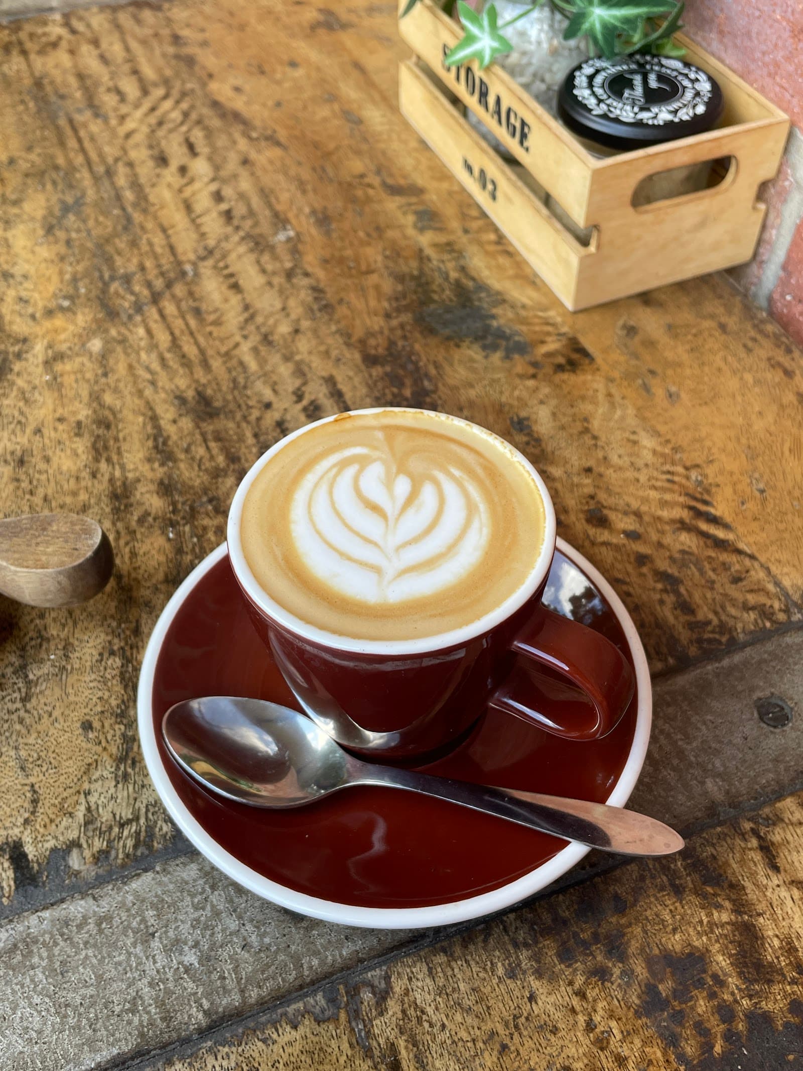 Vinty Bean — Teneriffe, Brisbane