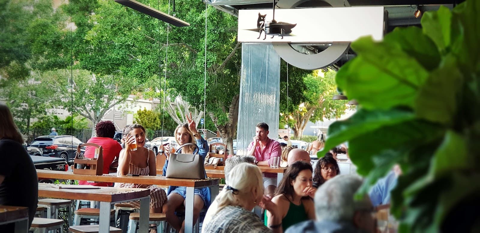 Zero Fox — Teneriffe, Brisbane