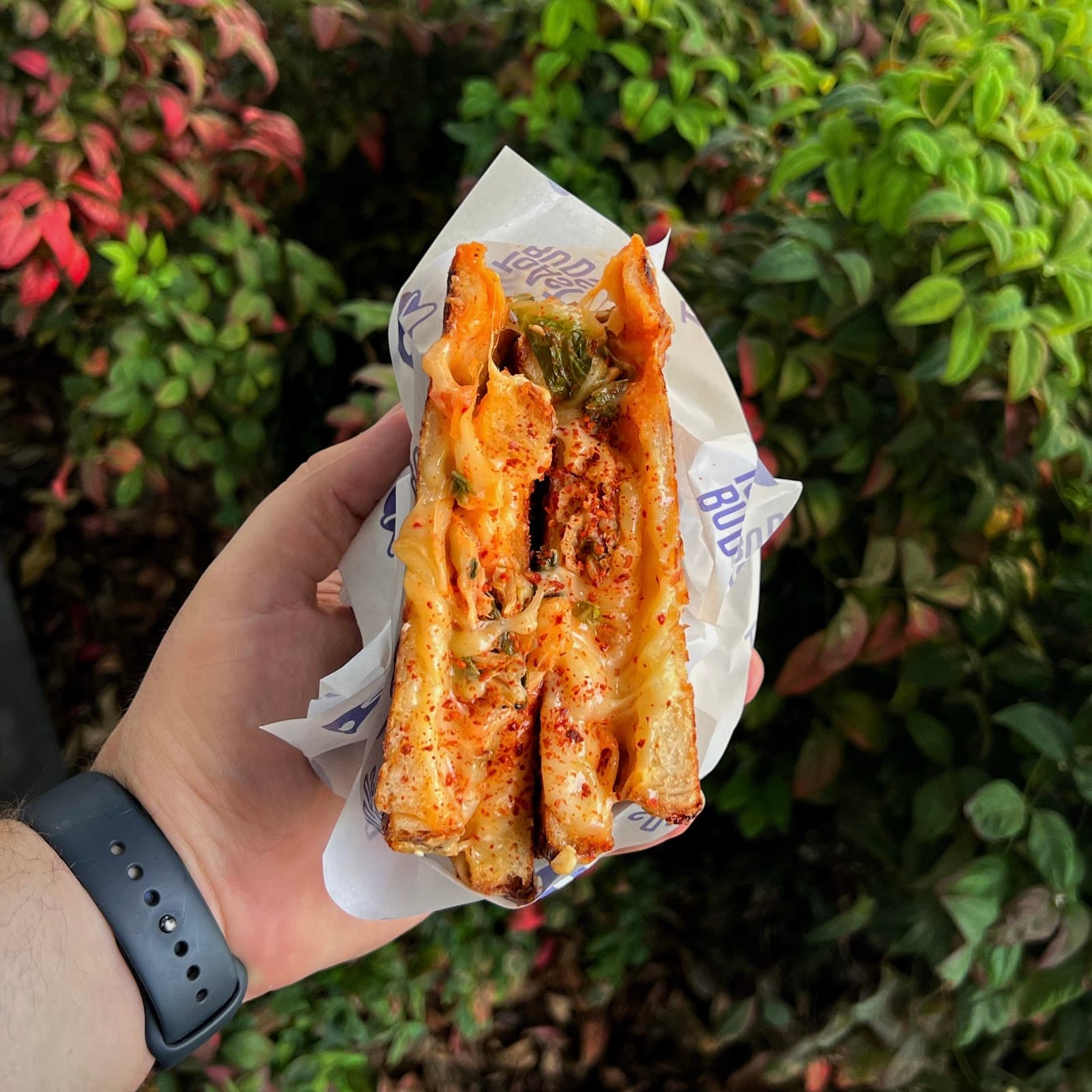 Toastbuds — Bulimba, Brisbane