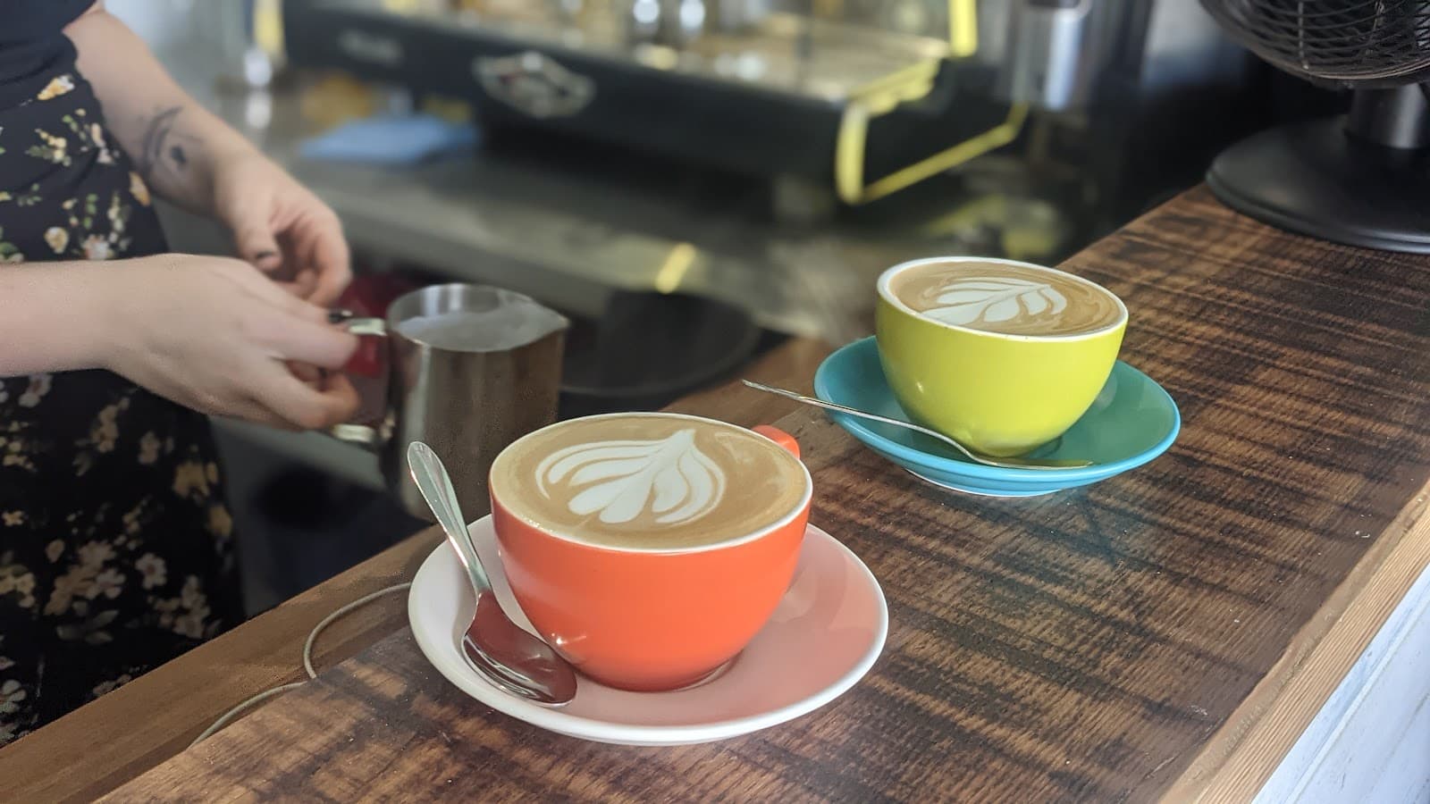 Apollo Coffee House — Bulimba, Brisbane