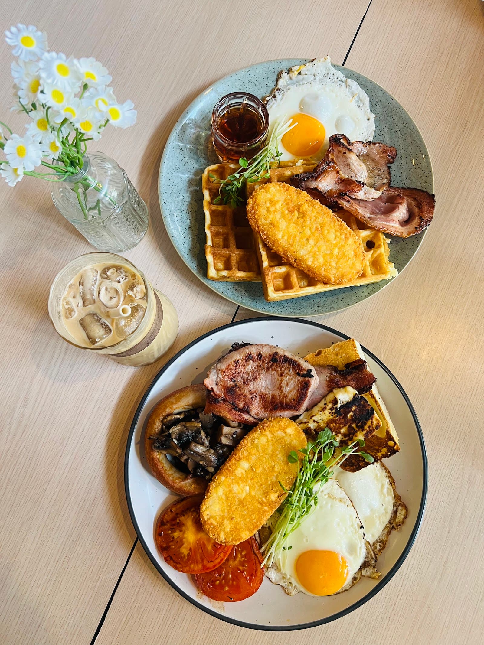 Yellowish — Hamilton, Brisbane