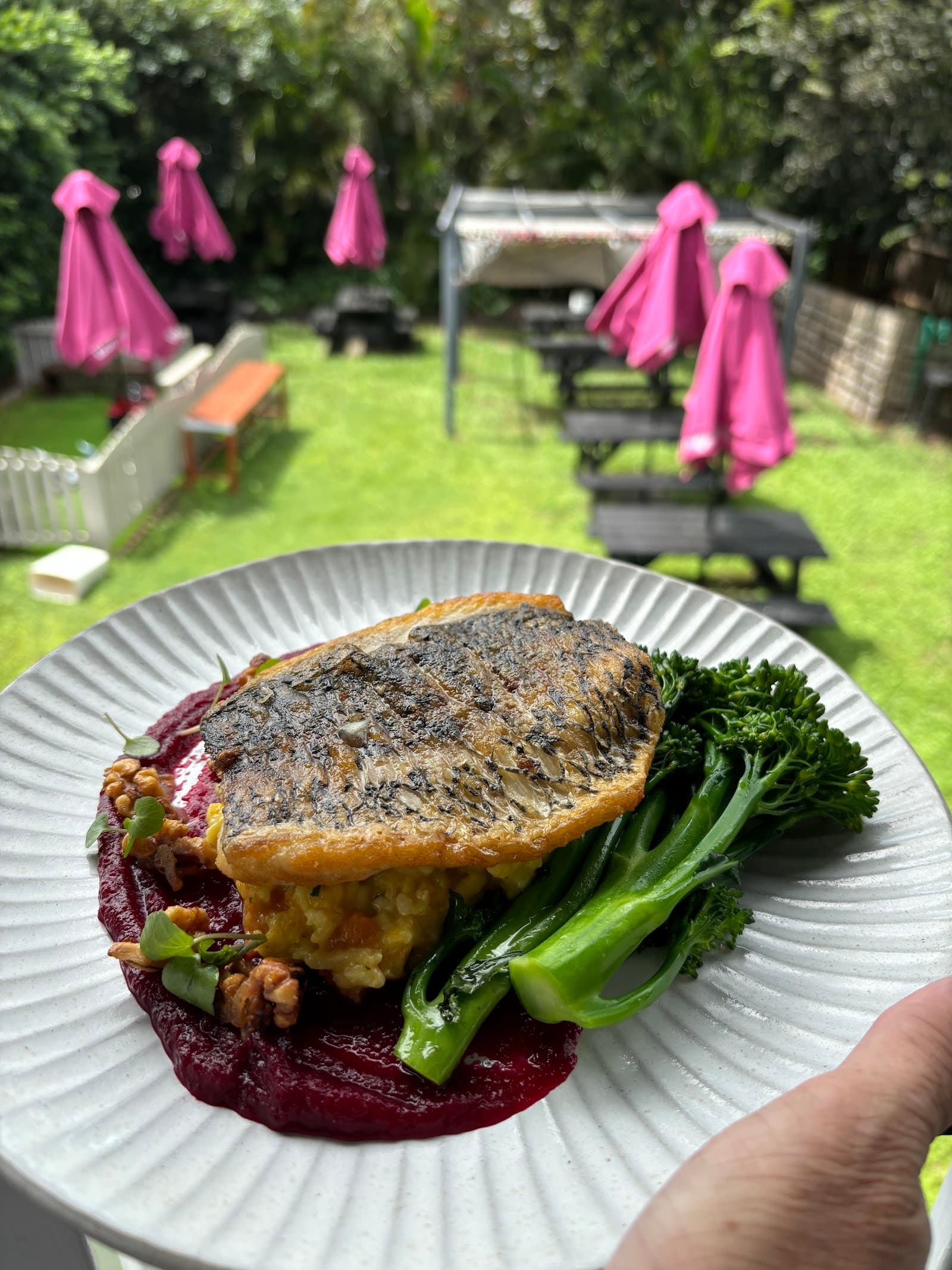 Let Minnow Cafe — Hamilton, Brisbane