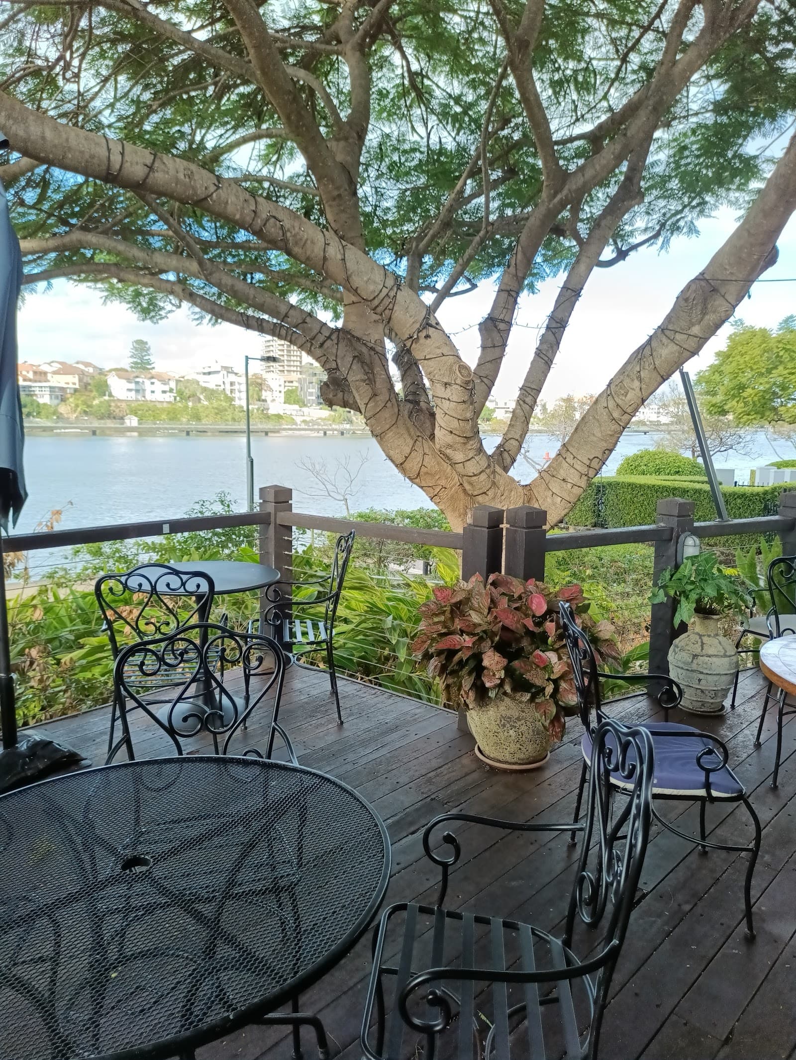 Medley | Kangaroo Point — Kangaroo Point, Brisbane