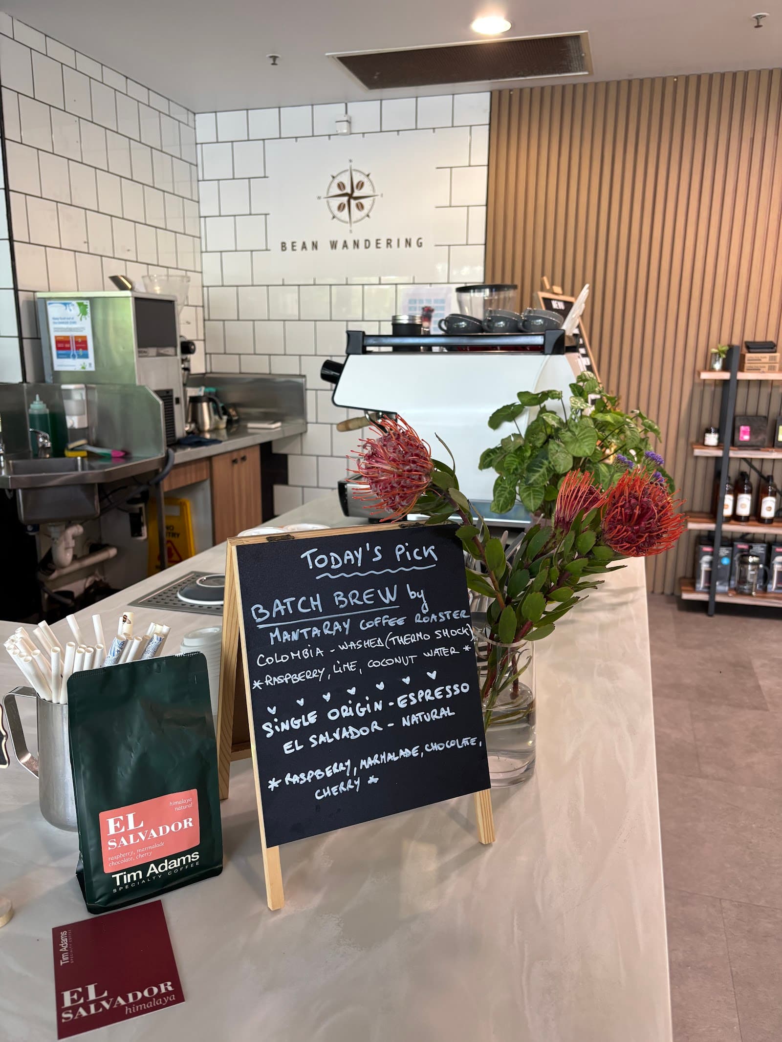 Bean Wandering - Milton Green — Milton, Brisbane