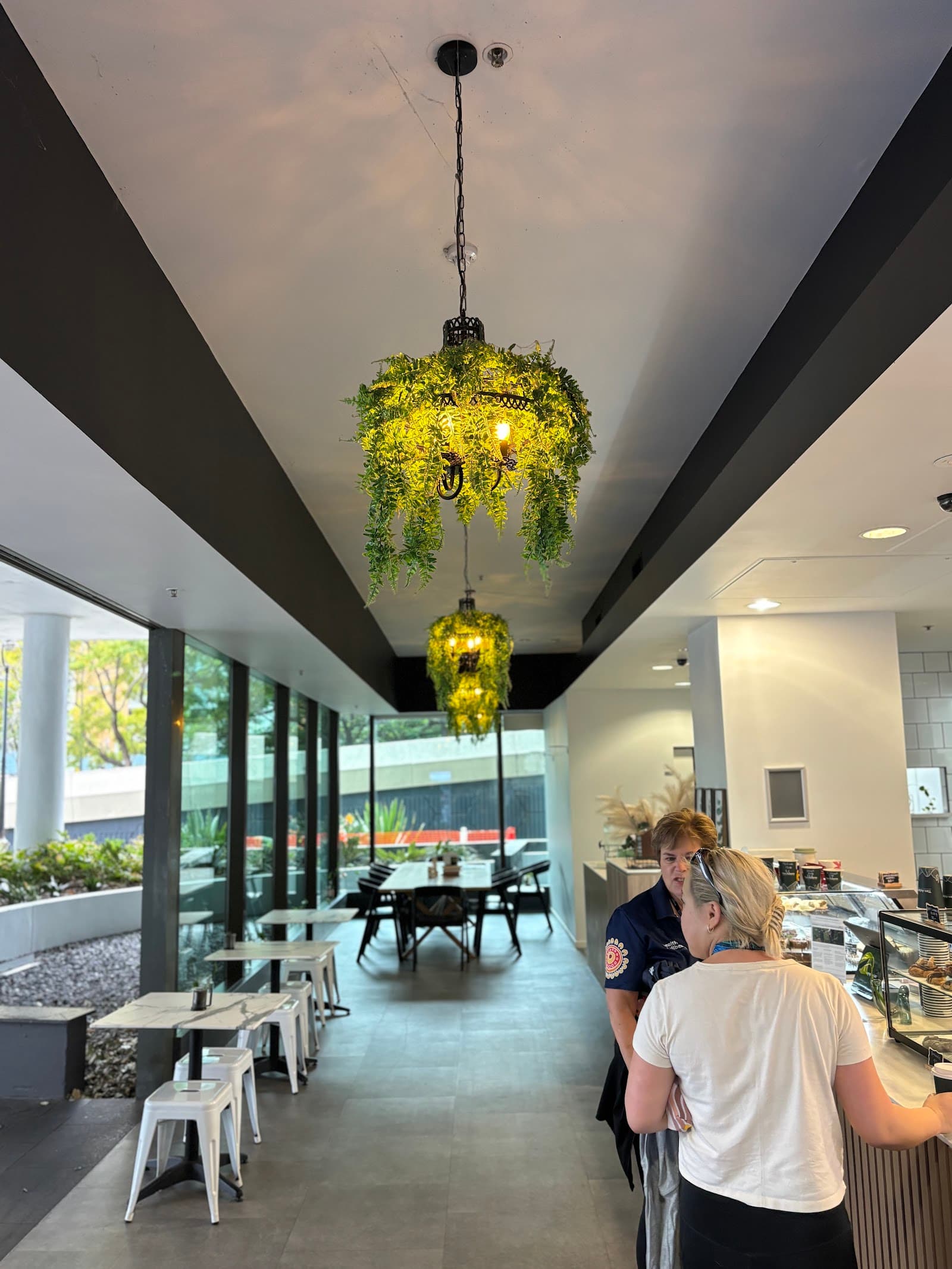 Bean Wandering - Milton Green — Milton, Brisbane