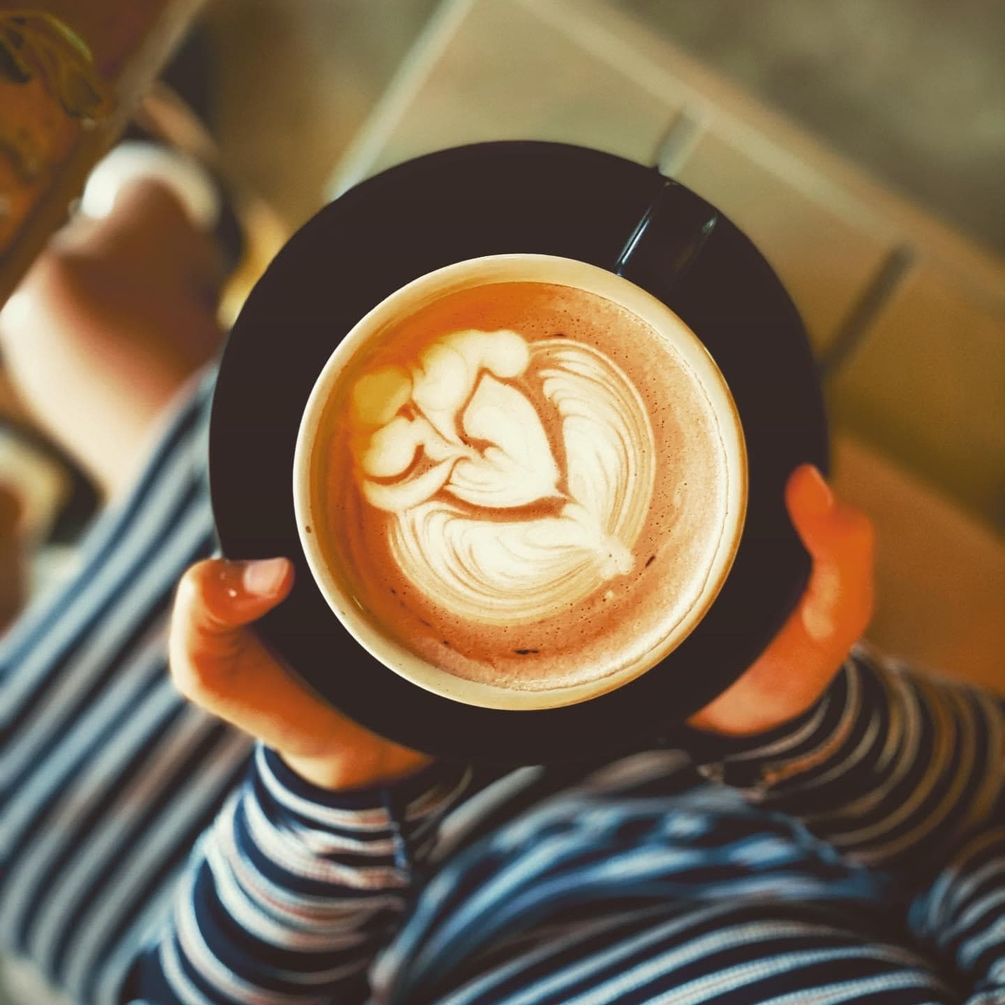 Coffee stories — Toowong, Brisbane