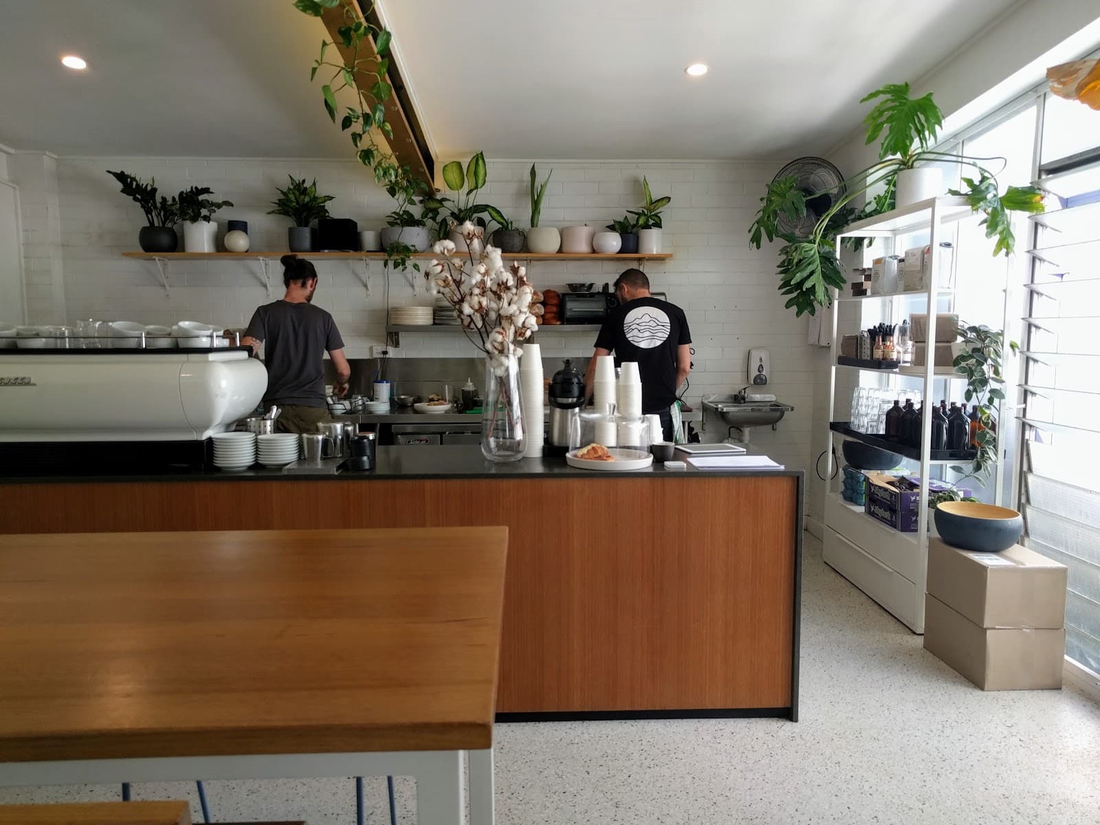 Josie North — Toowong, Brisbane