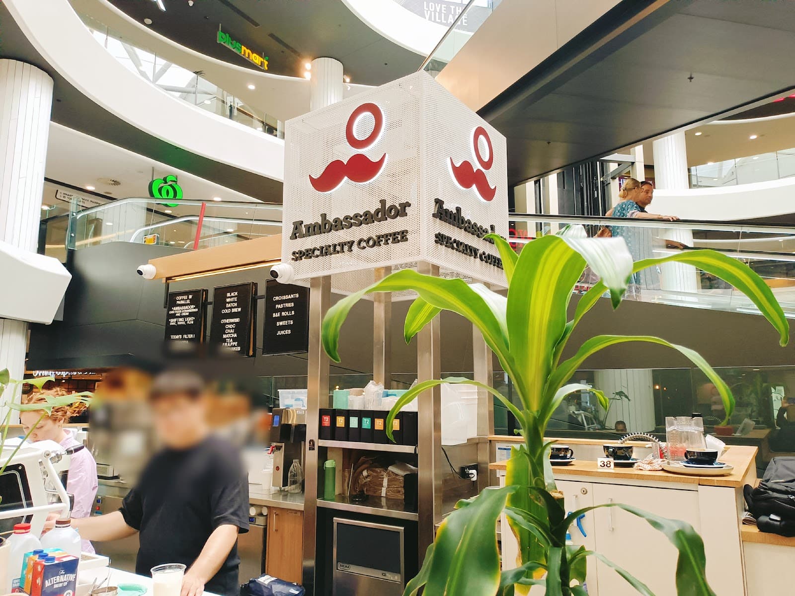 Ambassador Specialty Coffee — Toowong, Brisbane