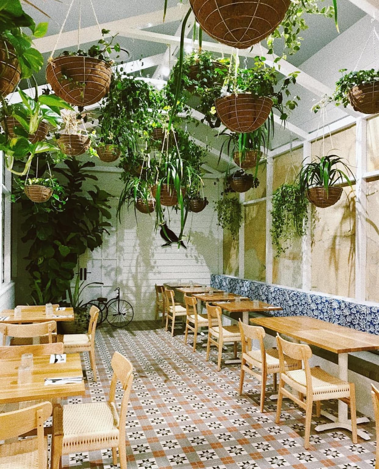 Ivy & Lark — Chermside, Brisbane