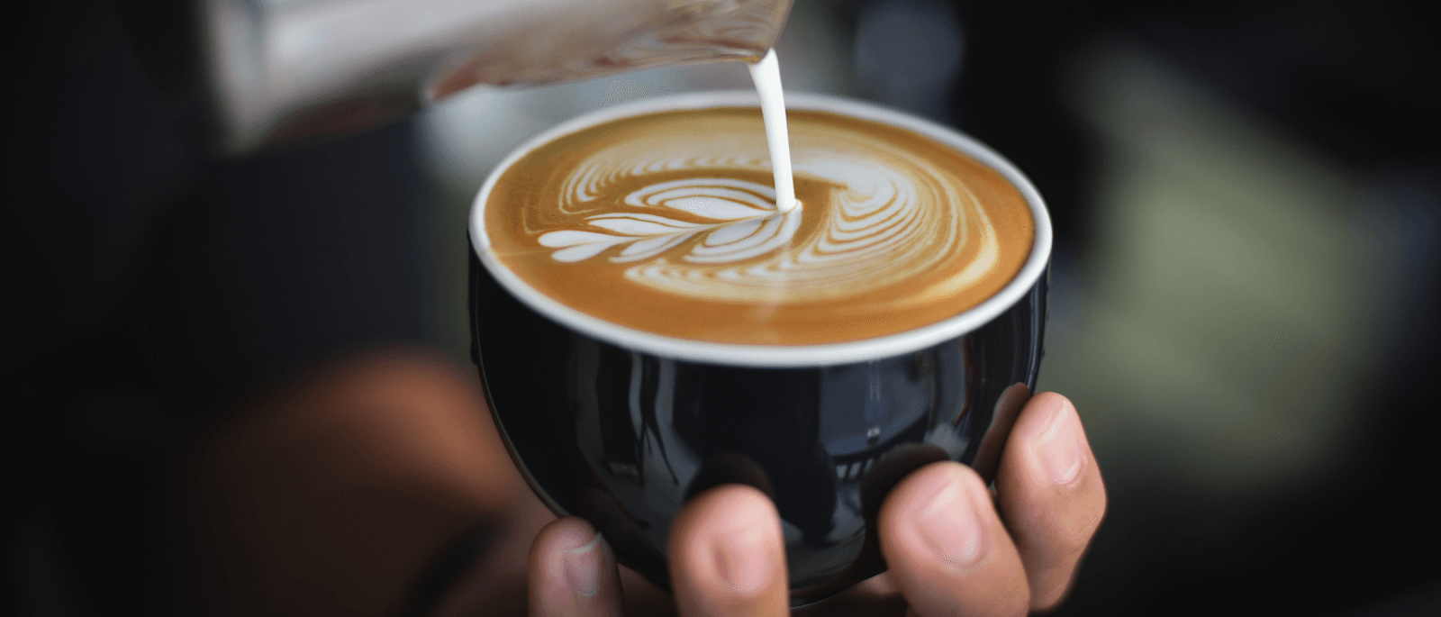 O'GABEE & Co Coffee Roastery Chermside — Chermside, Brisbane