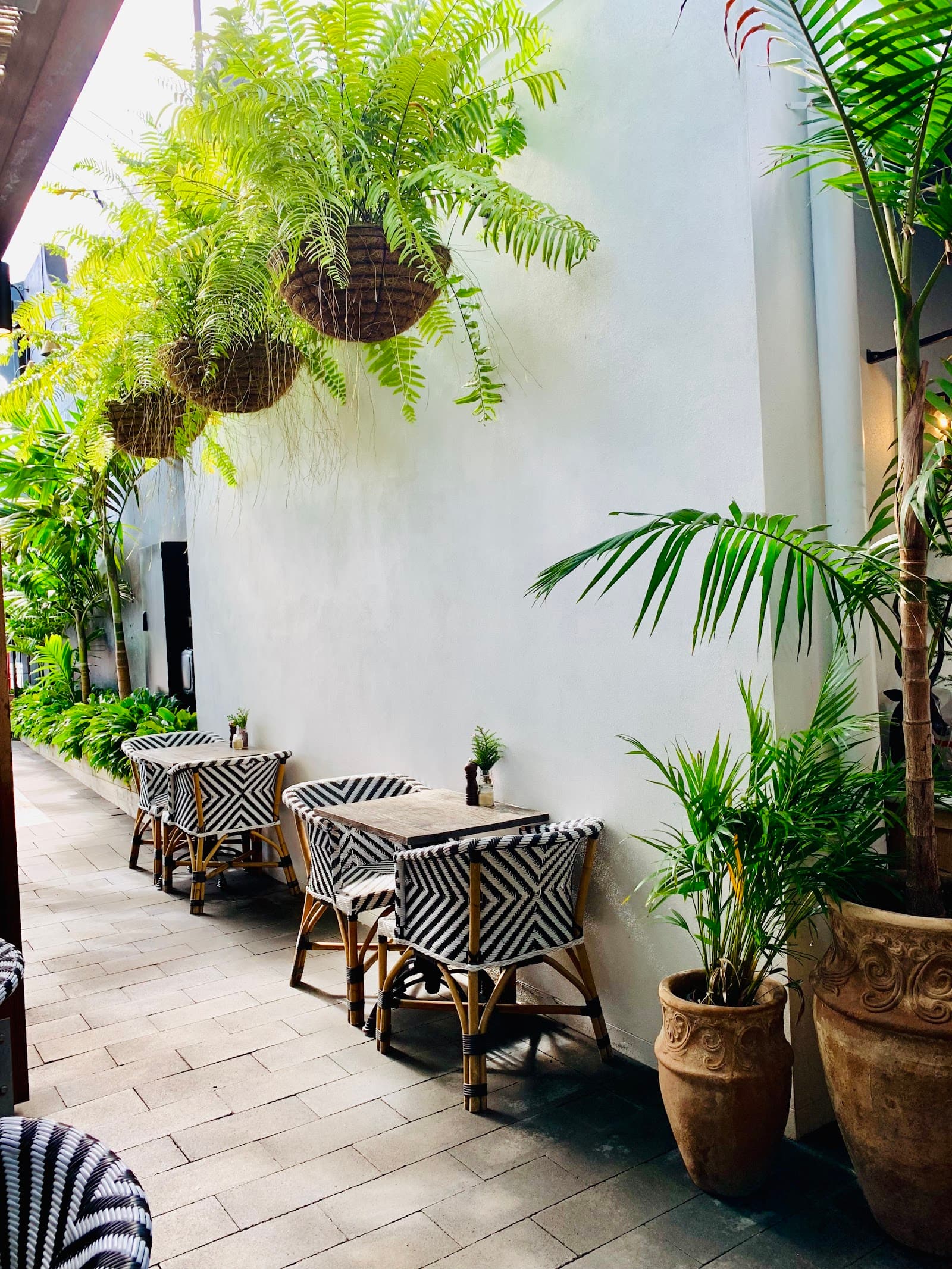 Hunter & Scout Café — Indooroopilly, Brisbane