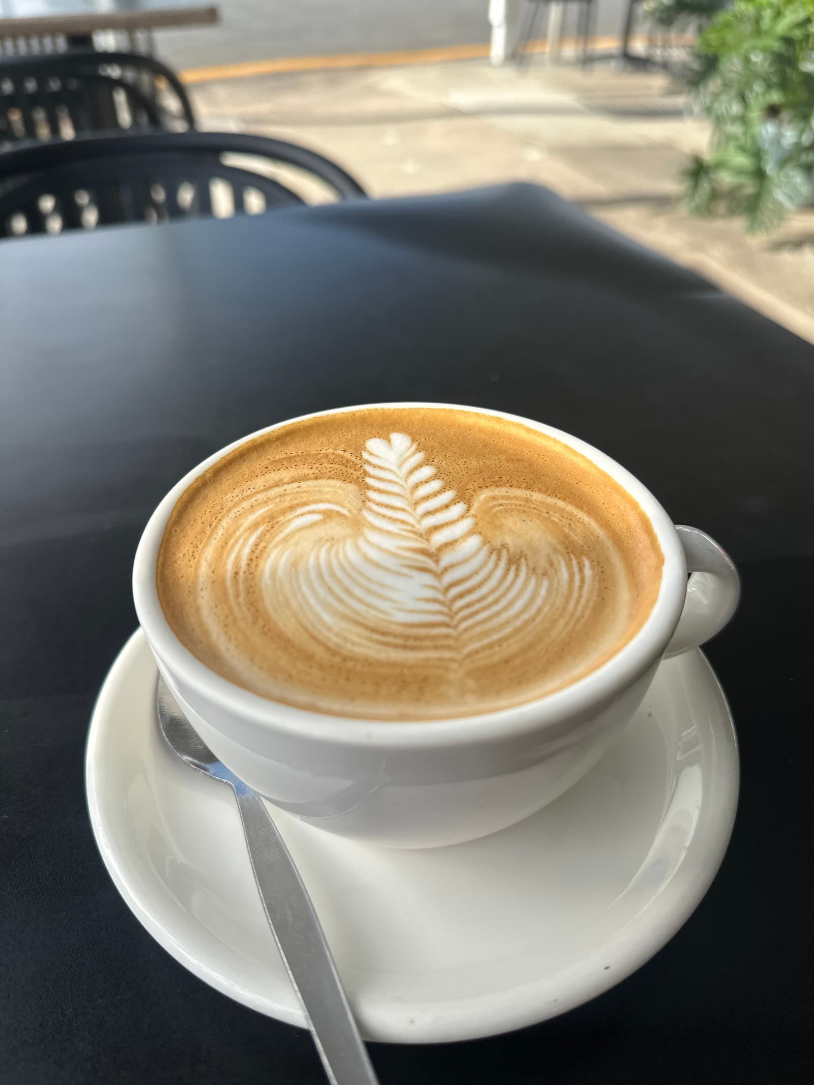 Groundhog Social — Manly, Brisbane