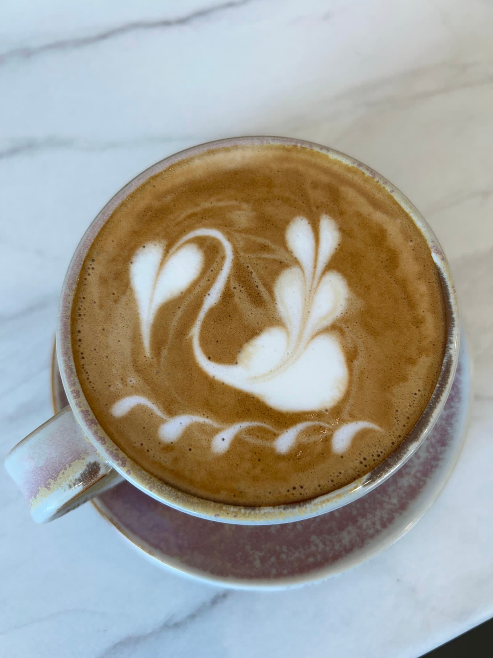 Salt Cafe Bistro Manly West — Manly, Brisbane