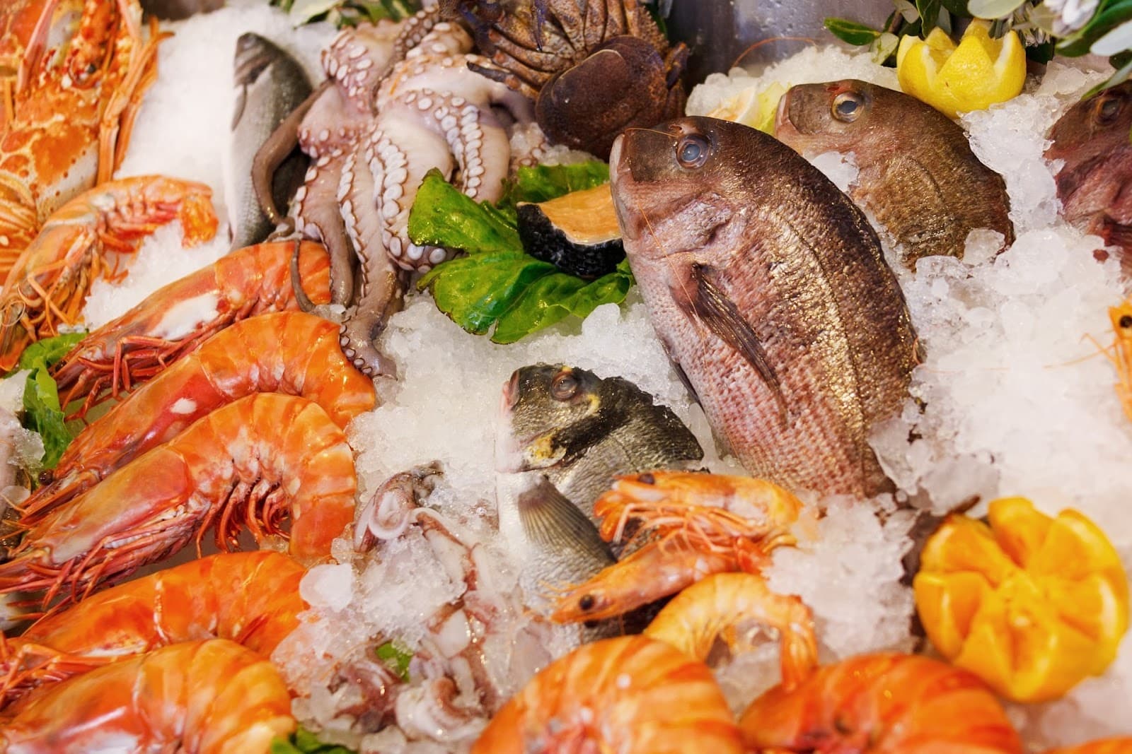 New Farm Seafood — New Farm, Brisbane