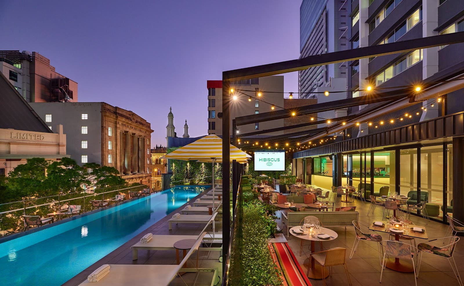 Hibiscus Bar & Terrace — Brisbane CBD, Brisbane