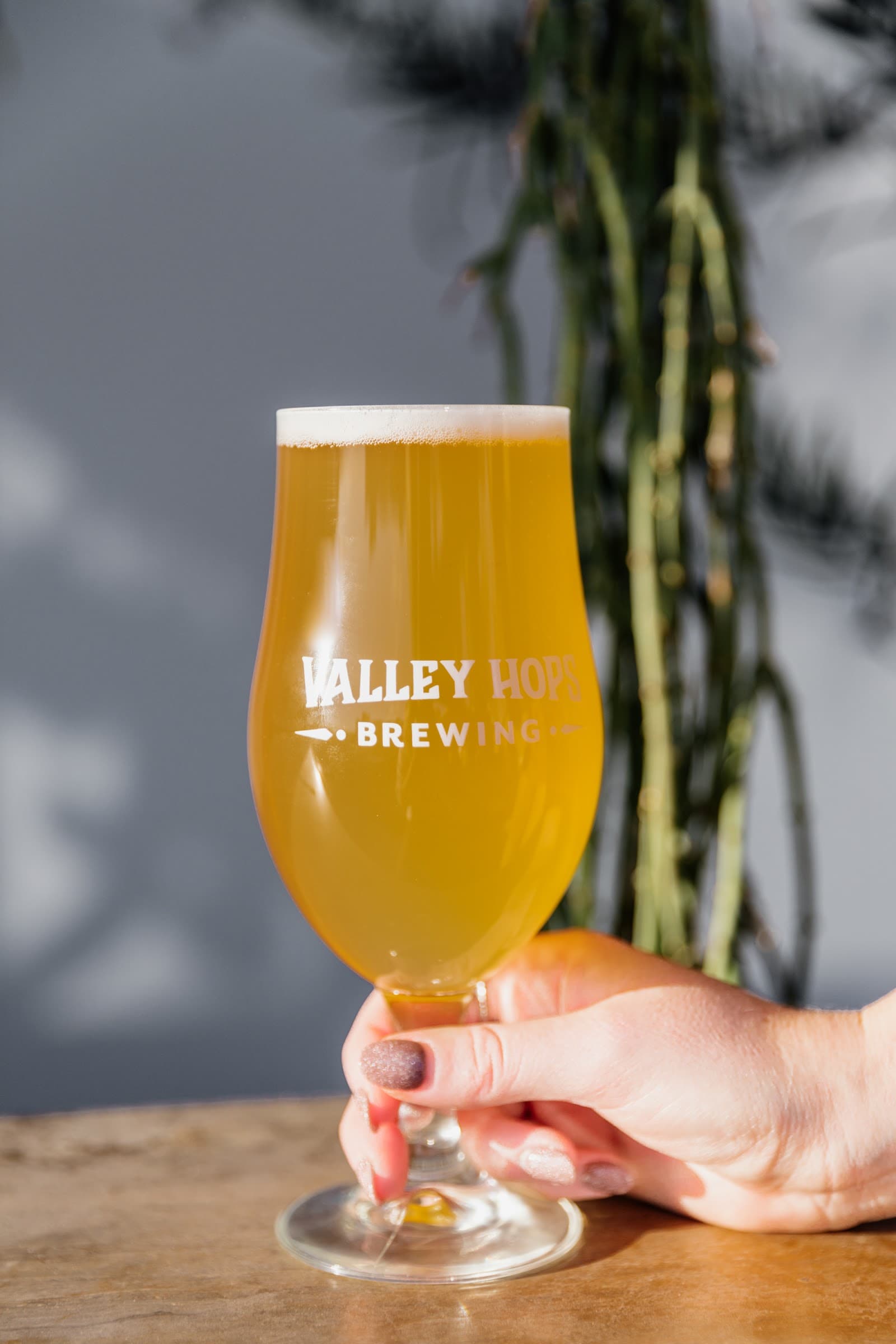 Valley Hops Brewing — Indooroopilly, Brisbane