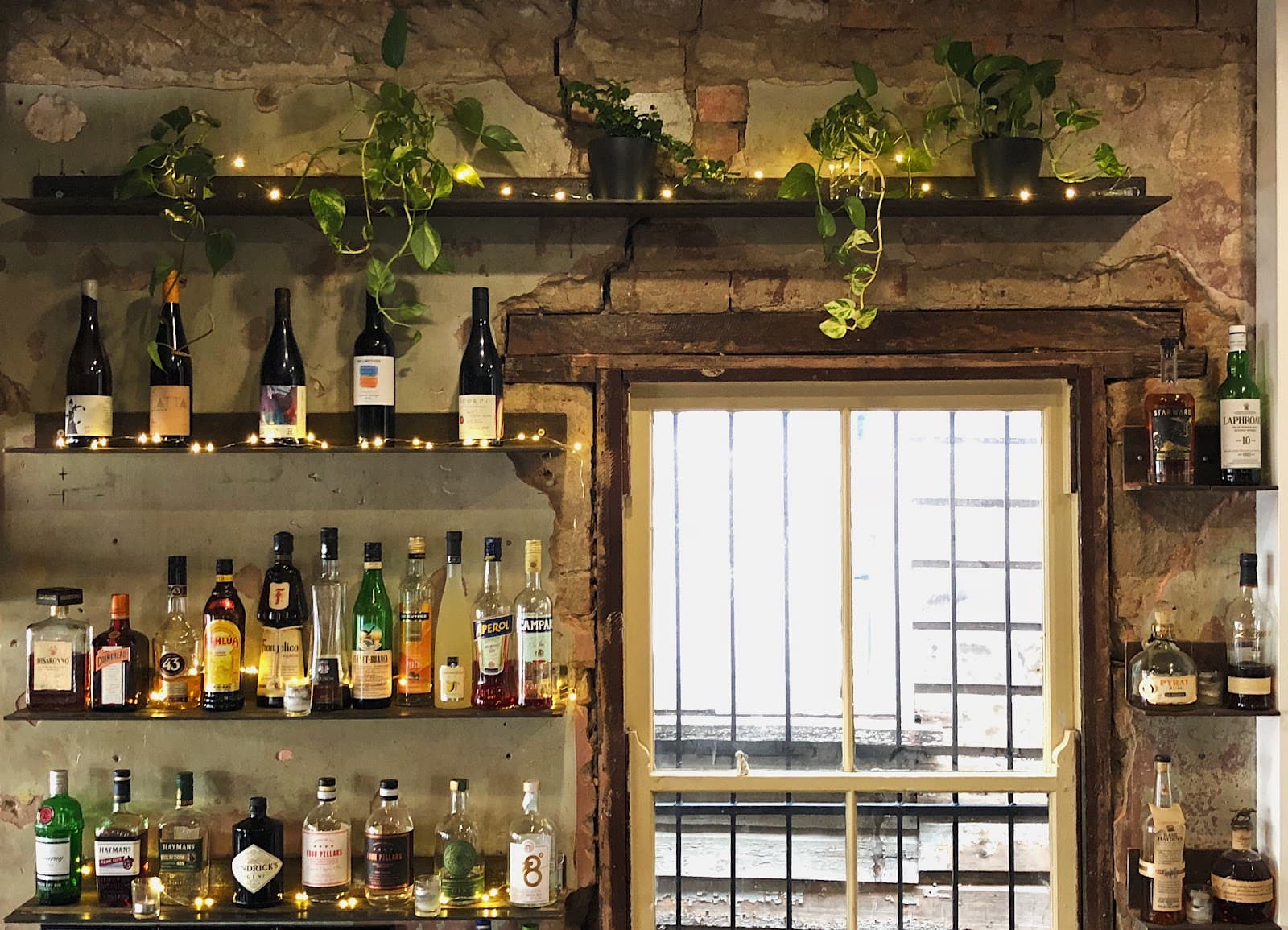 King Tea — Paddington, Brisbane
