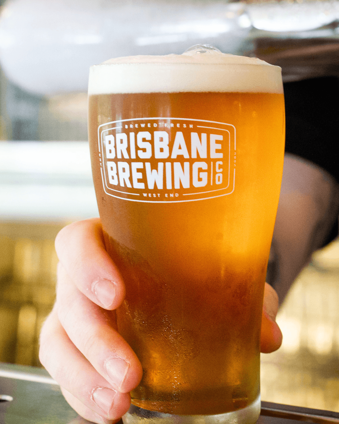 Brisbane Brewing Co. Woolloongabba — Indooroopilly, Brisbane