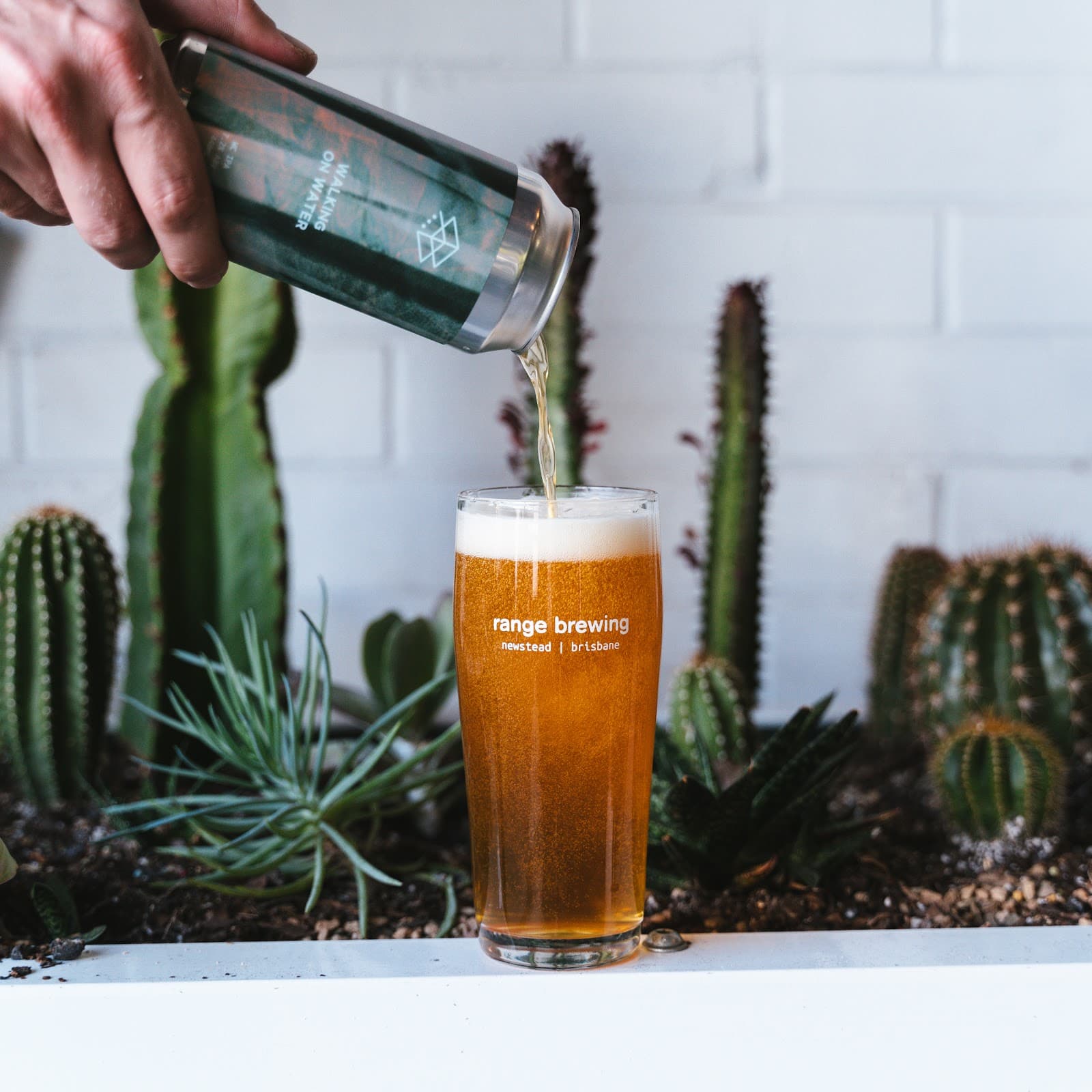 Range Brewing — Hamilton, Brisbane