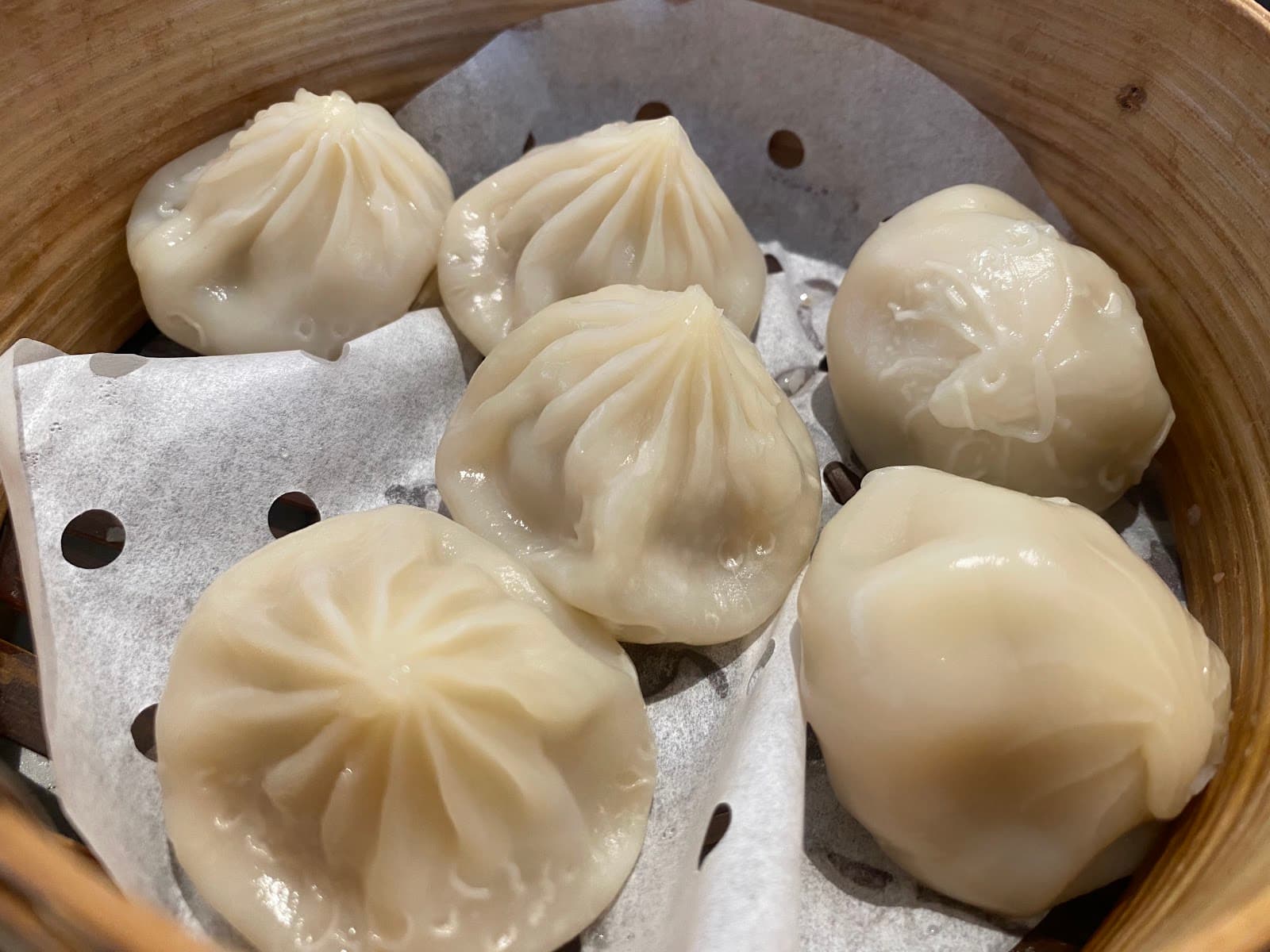 Little Red Dumpling Toowong — Toowong, Brisbane