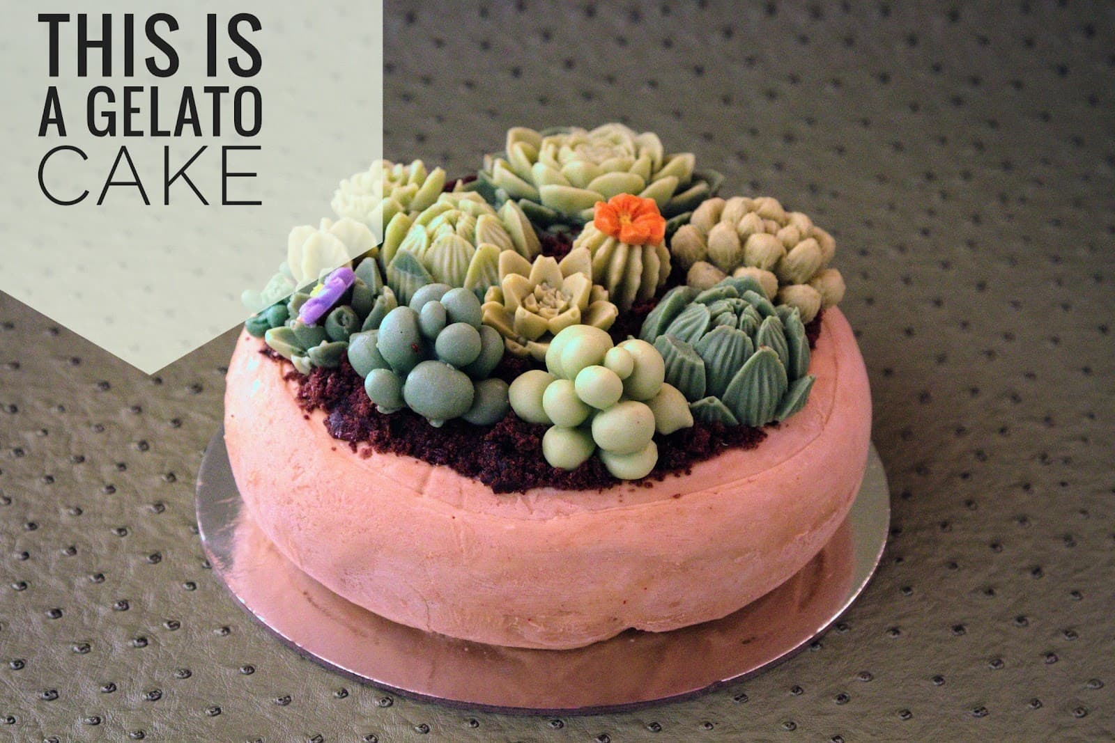 Mimbolus Gelato Creations — Teneriffe, Brisbane