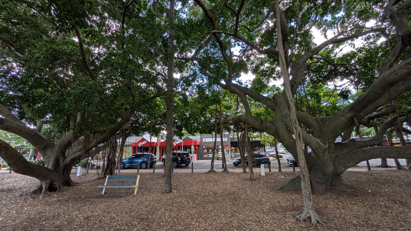 Bulimba Memorial Park — Bulimba, Brisbane