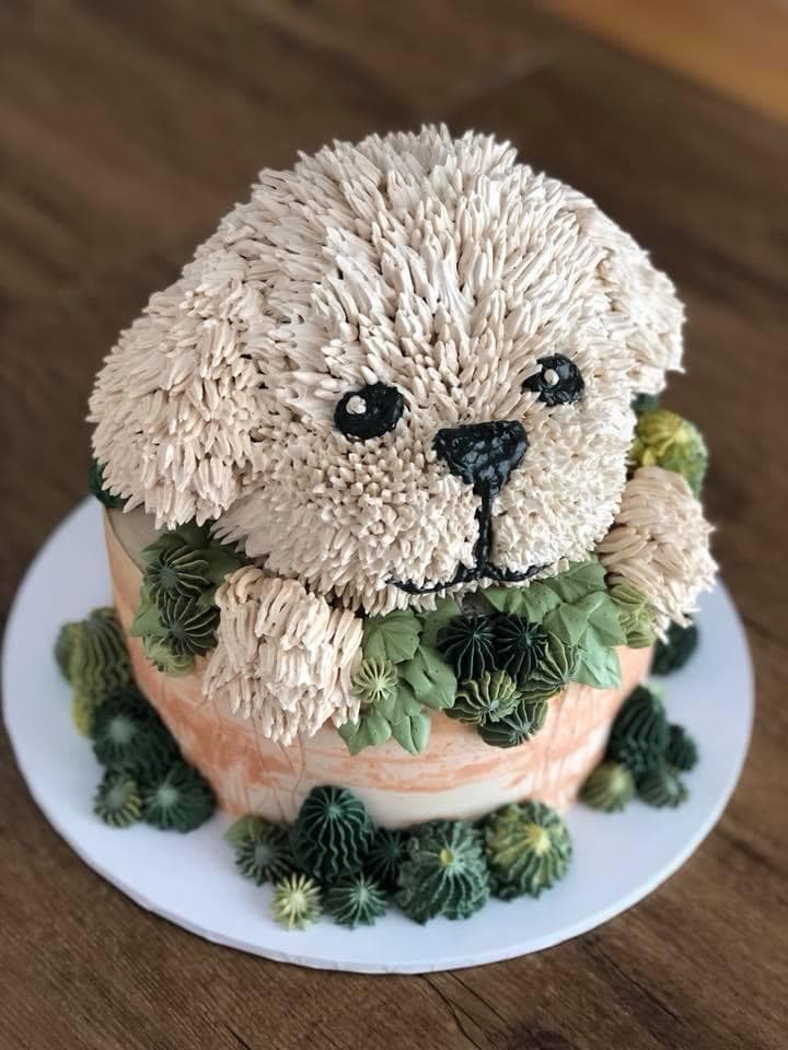 PiCK a CaKE — Hamilton, Brisbane