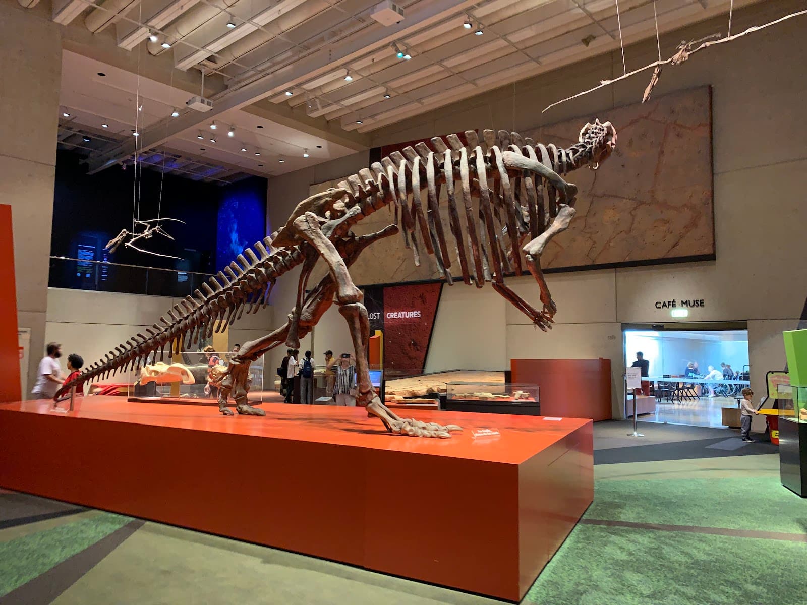 Queensland Museum Kurilpa — Wynnum, Brisbane