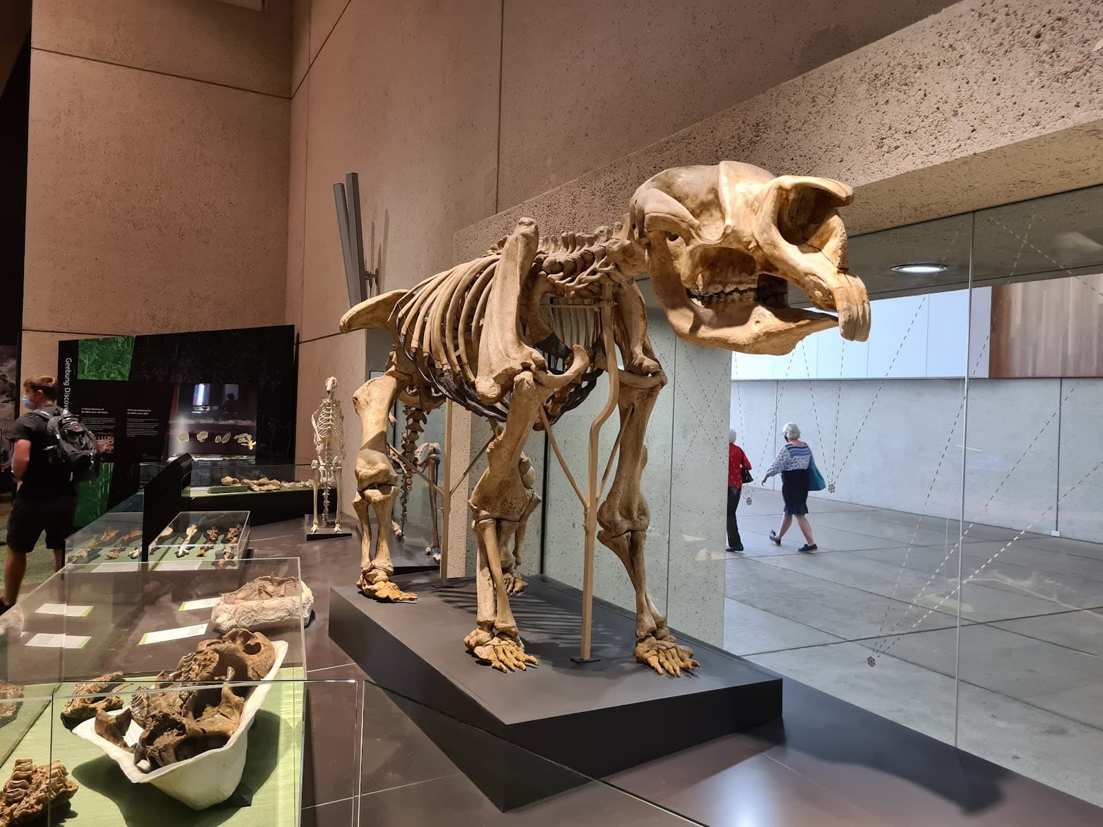 Queensland Museum Kurilpa — Wynnum, Brisbane