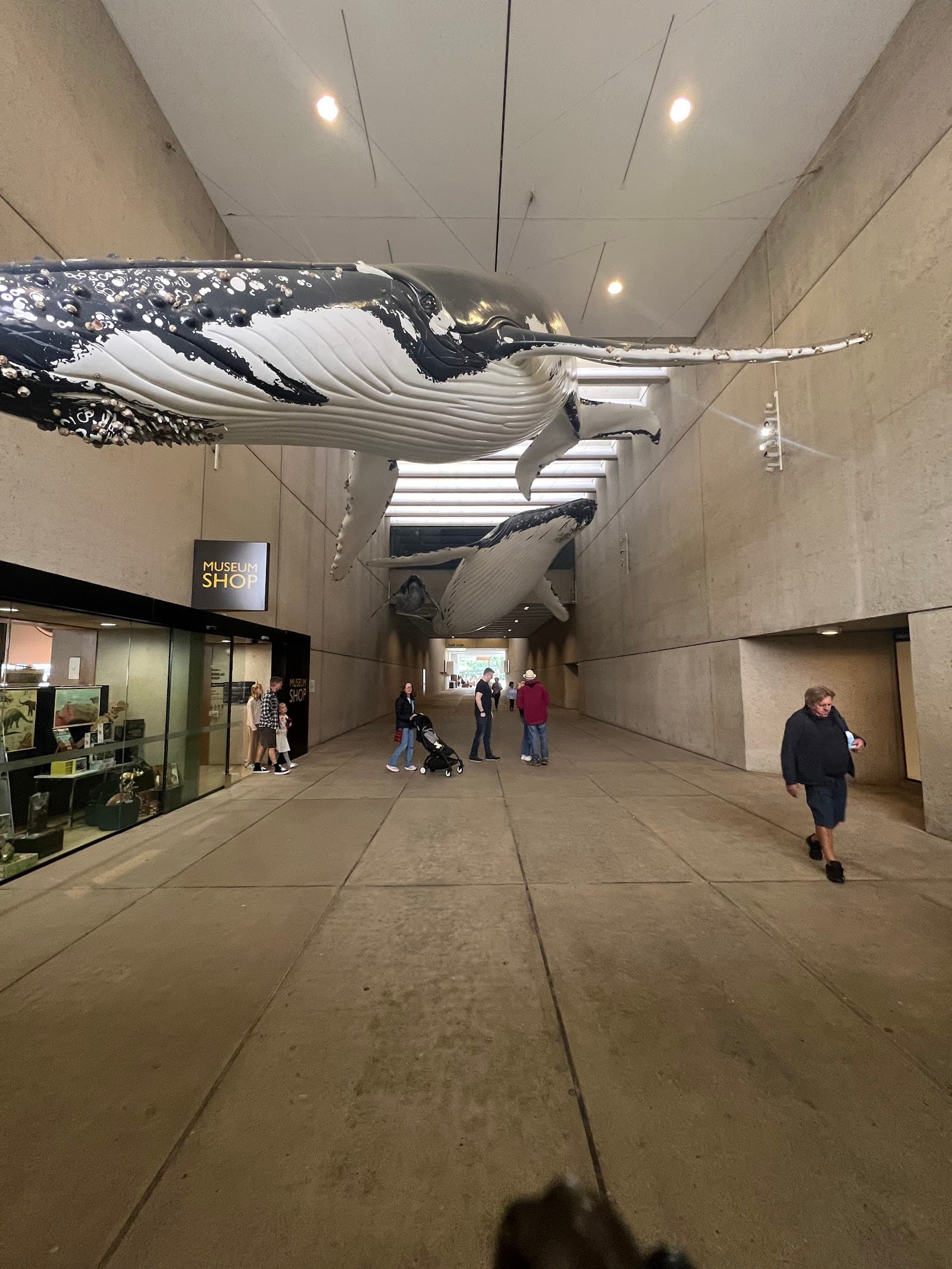 Whale Mall — South Brisbane, Brisbane