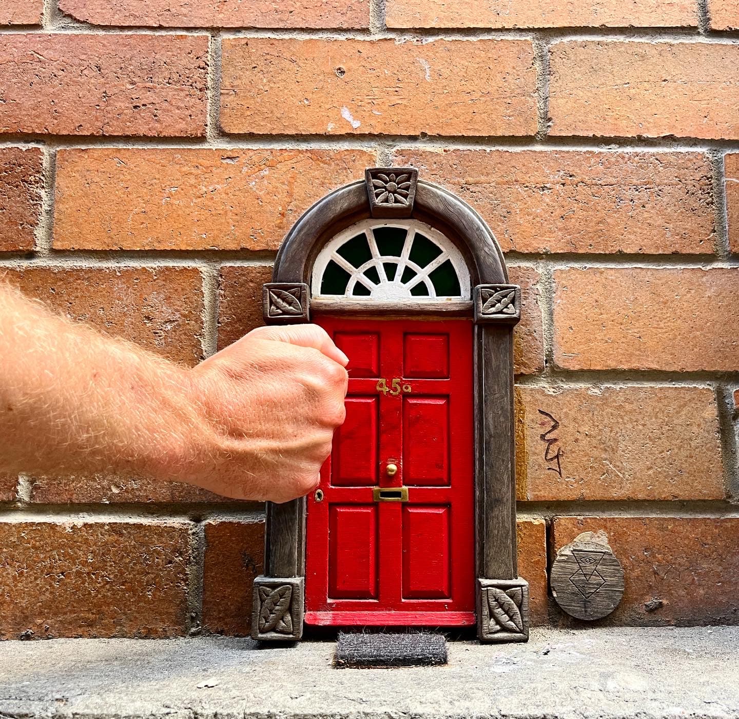 Tiny Door — Indooroopilly, Brisbane