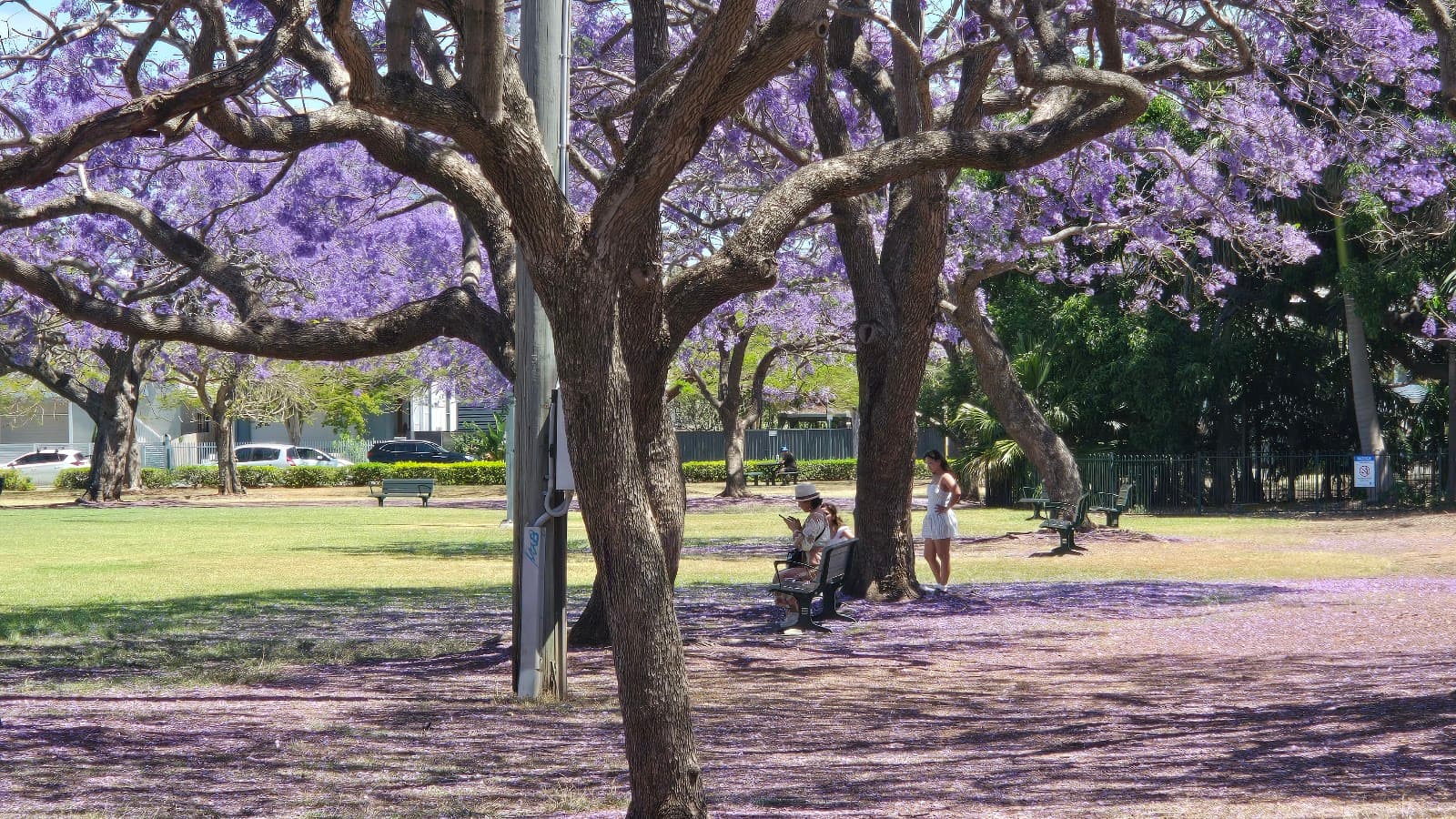 New Farm Park — Teneriffe, Brisbane