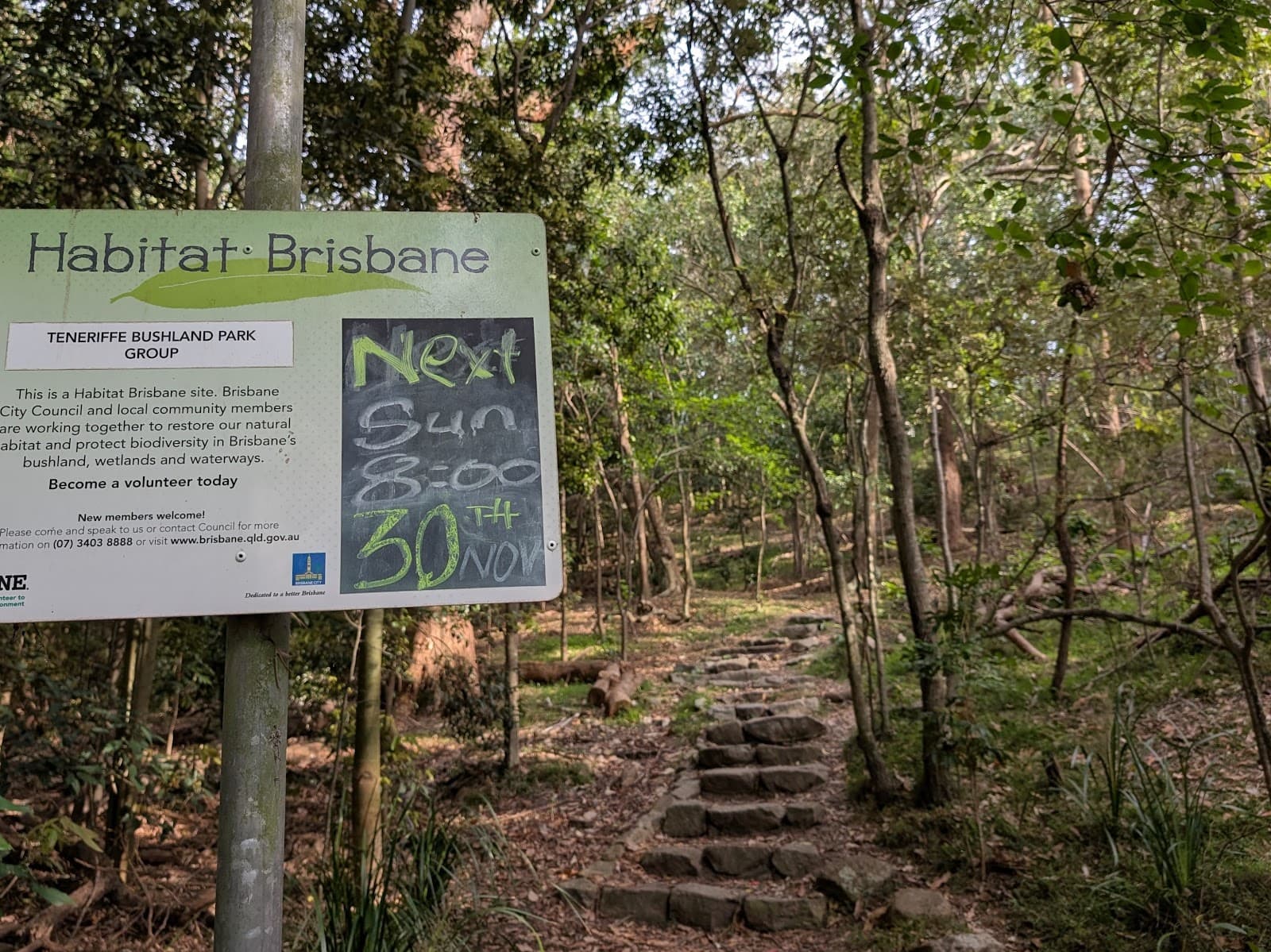 Teneriffe Park — Teneriffe, Brisbane