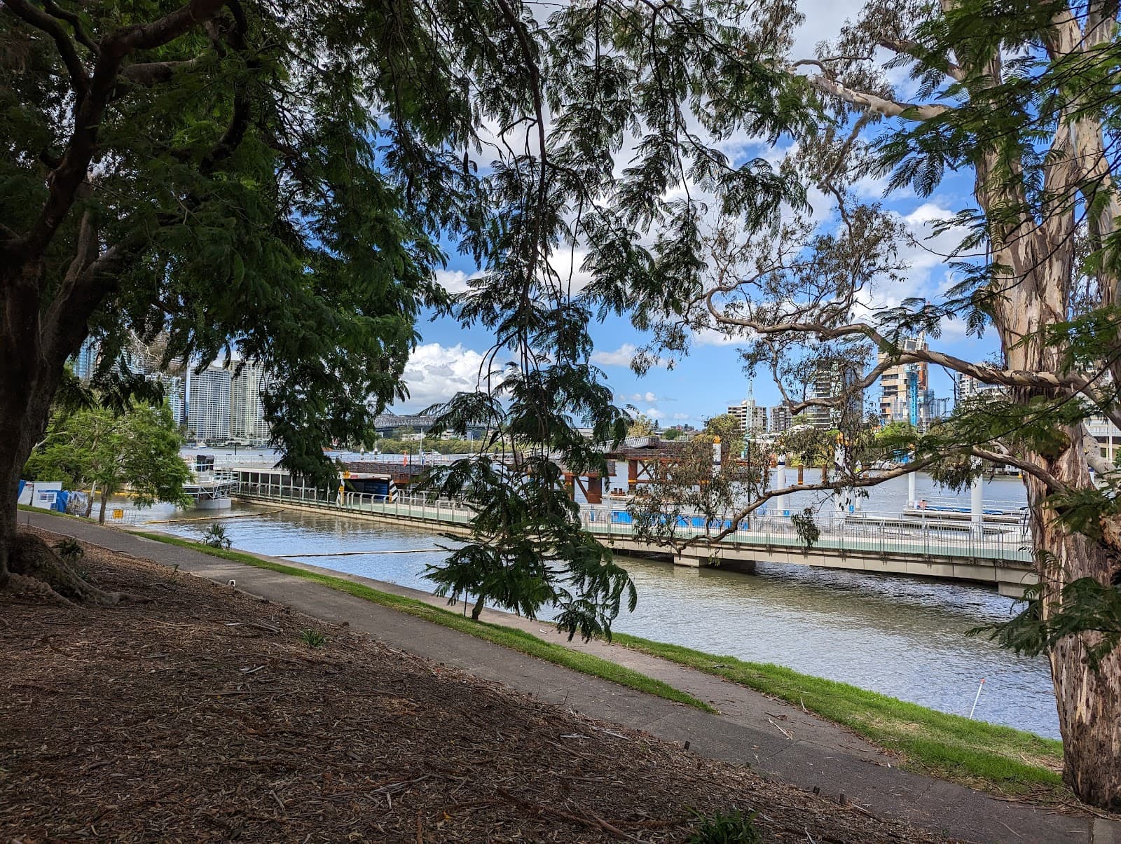 Cannon (serial 63914) — Teneriffe, Brisbane