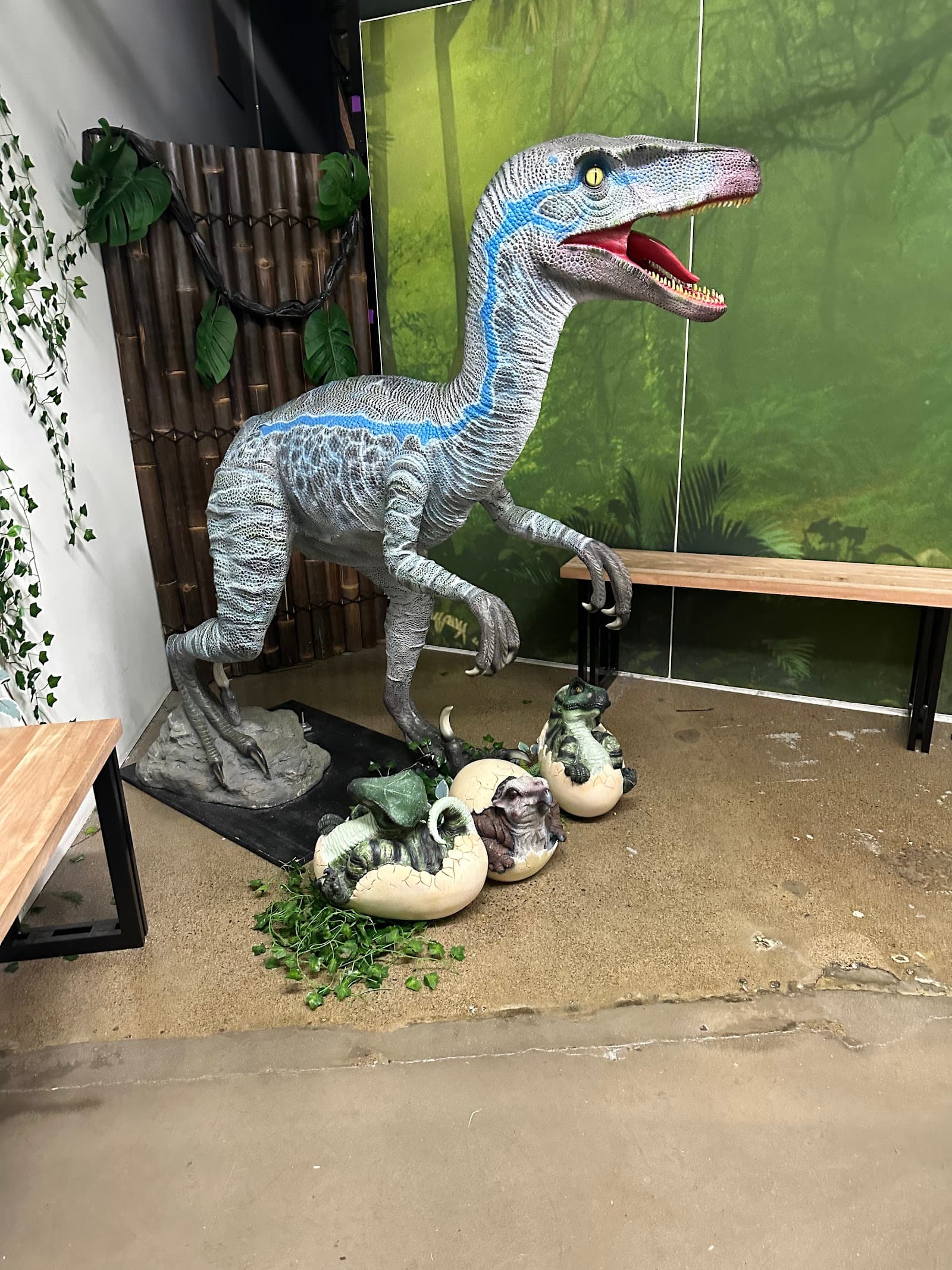 Hologram Zoo — Wynnum, Brisbane