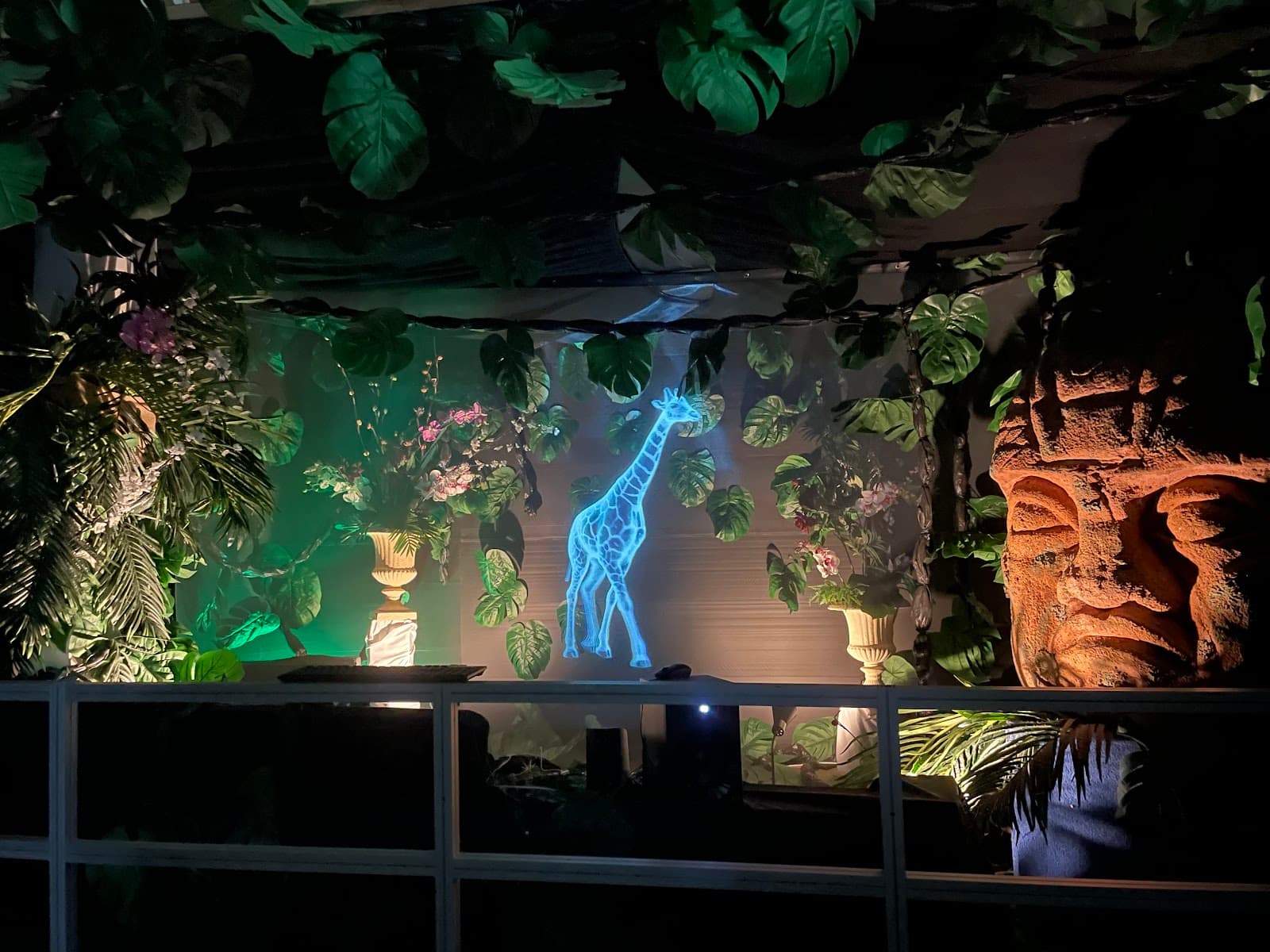 Hologram Zoo — Wynnum, Brisbane