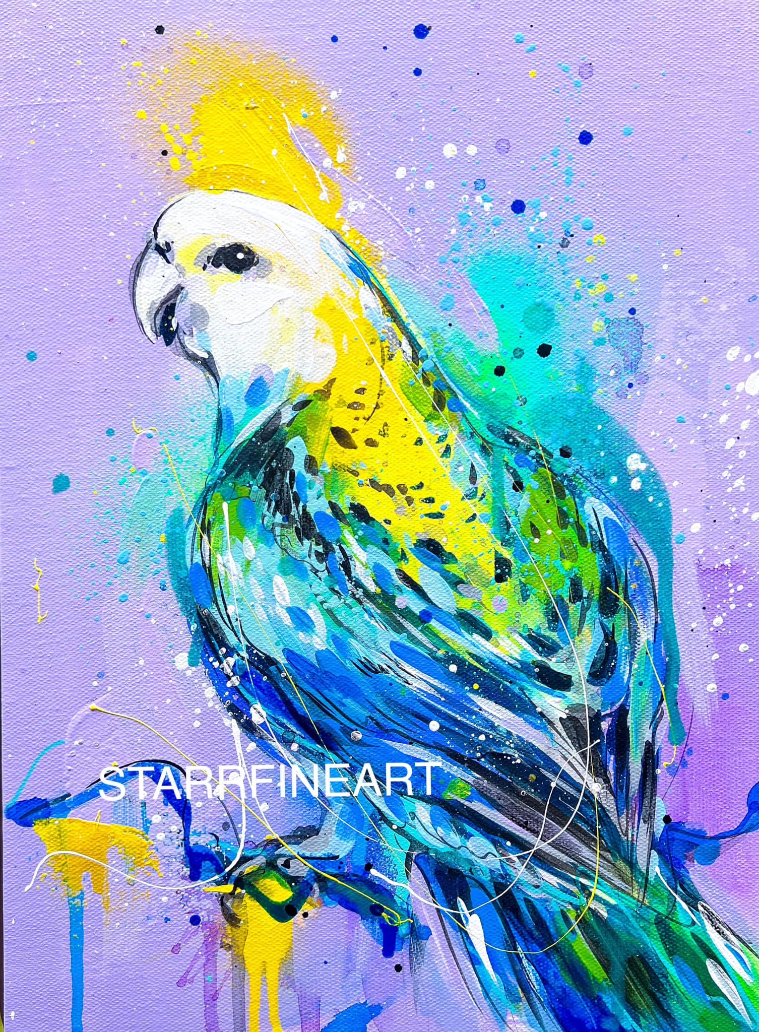 Starr Fine Art — Milton, Brisbane