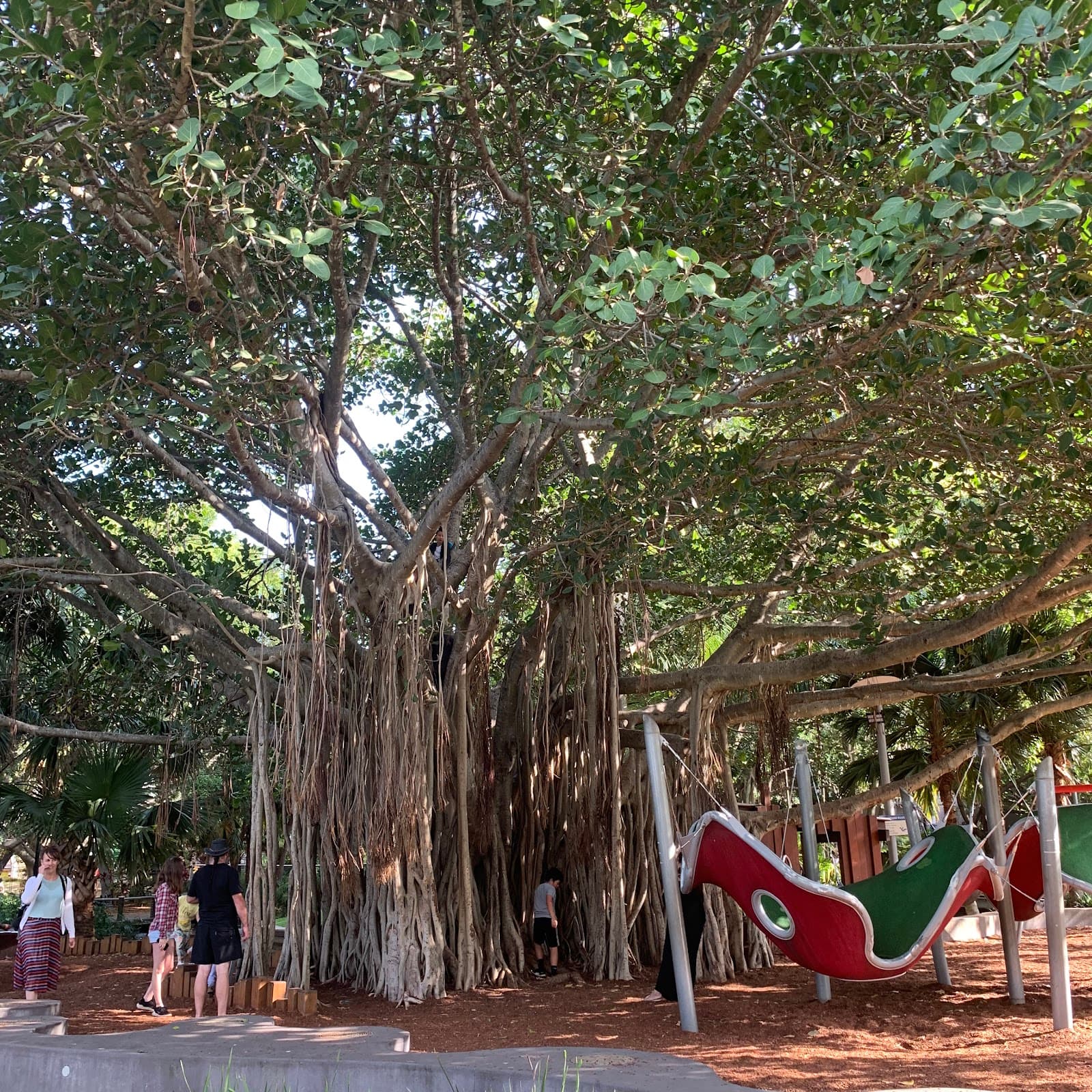 Picnic Island Playground — South Brisbane, Brisbane