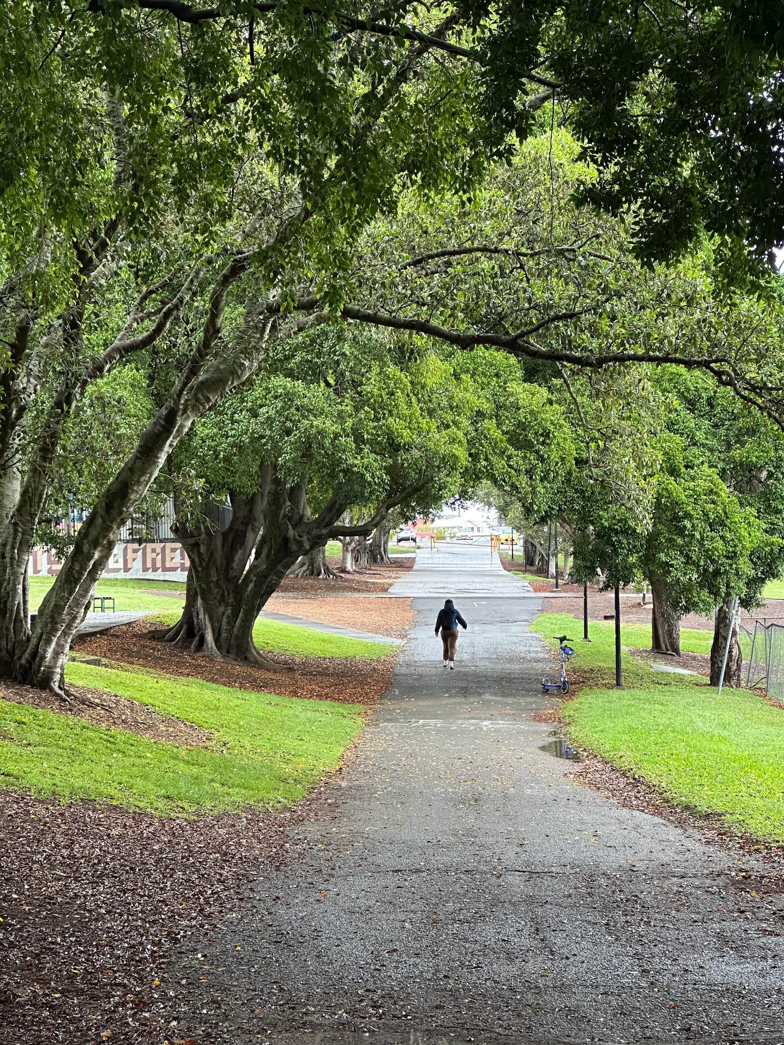 Musgrave Park — West End, Brisbane