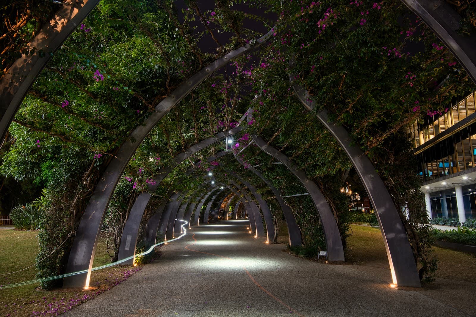 The Arbour Walkway — South Bank, Brisbane